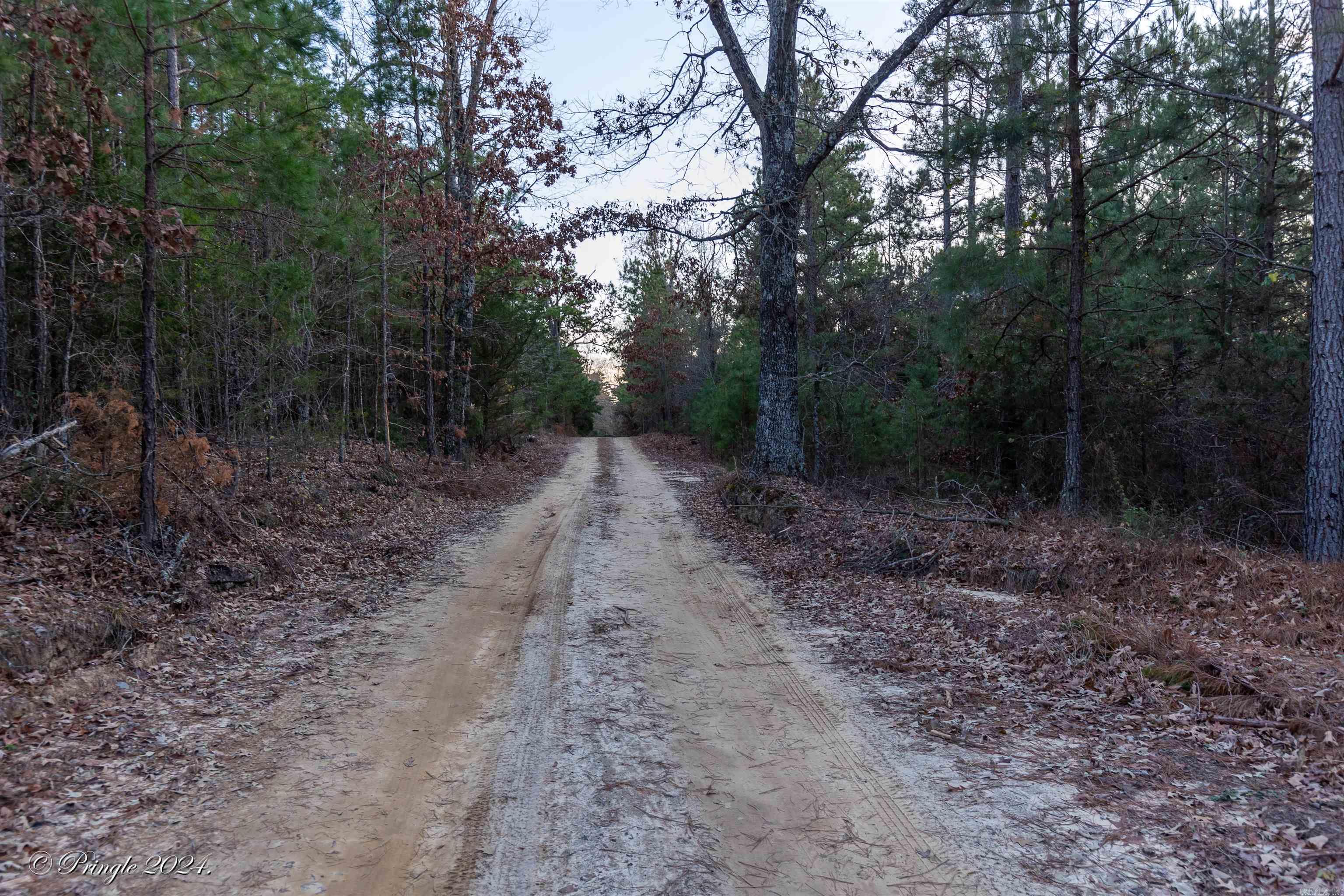 Photo 18 - Vacant Land for sale – 000  Highway 223 South   Bexar, AR