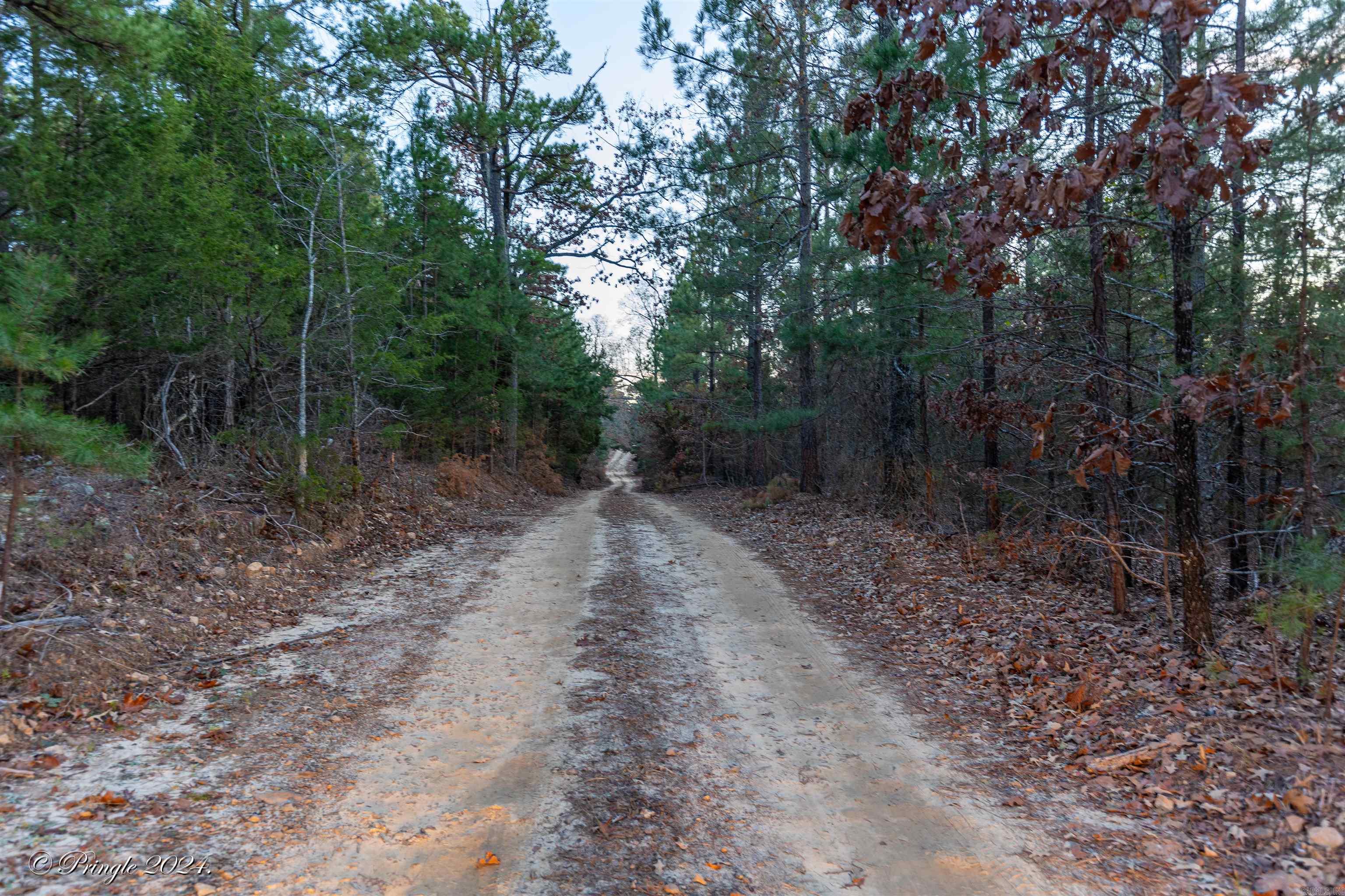 Photo 19 - Vacant Land for sale – 000  Highway 223 South   Bexar, AR