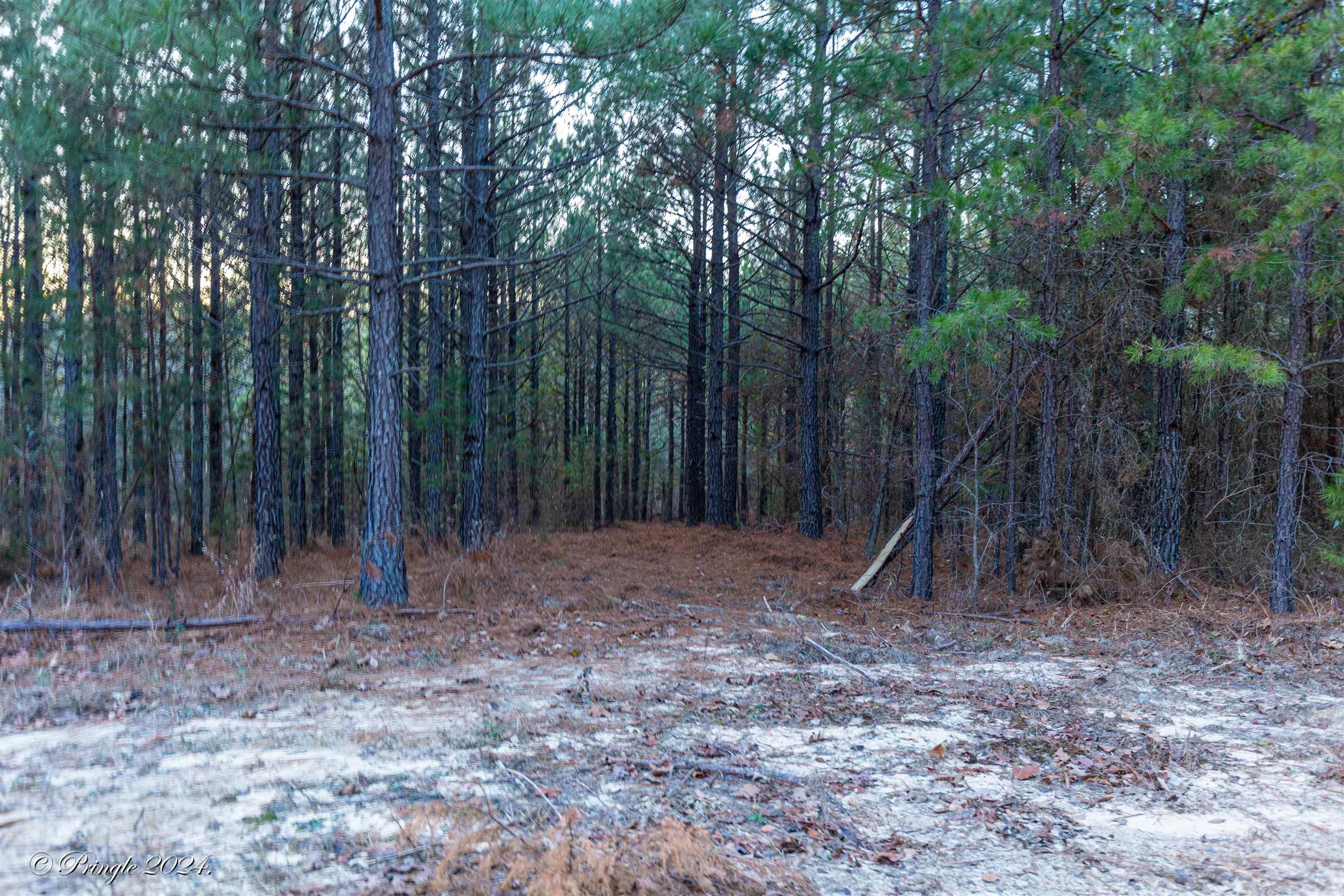 Photo 20 - Vacant Land for sale – 000  Highway 223 South   Bexar, AR