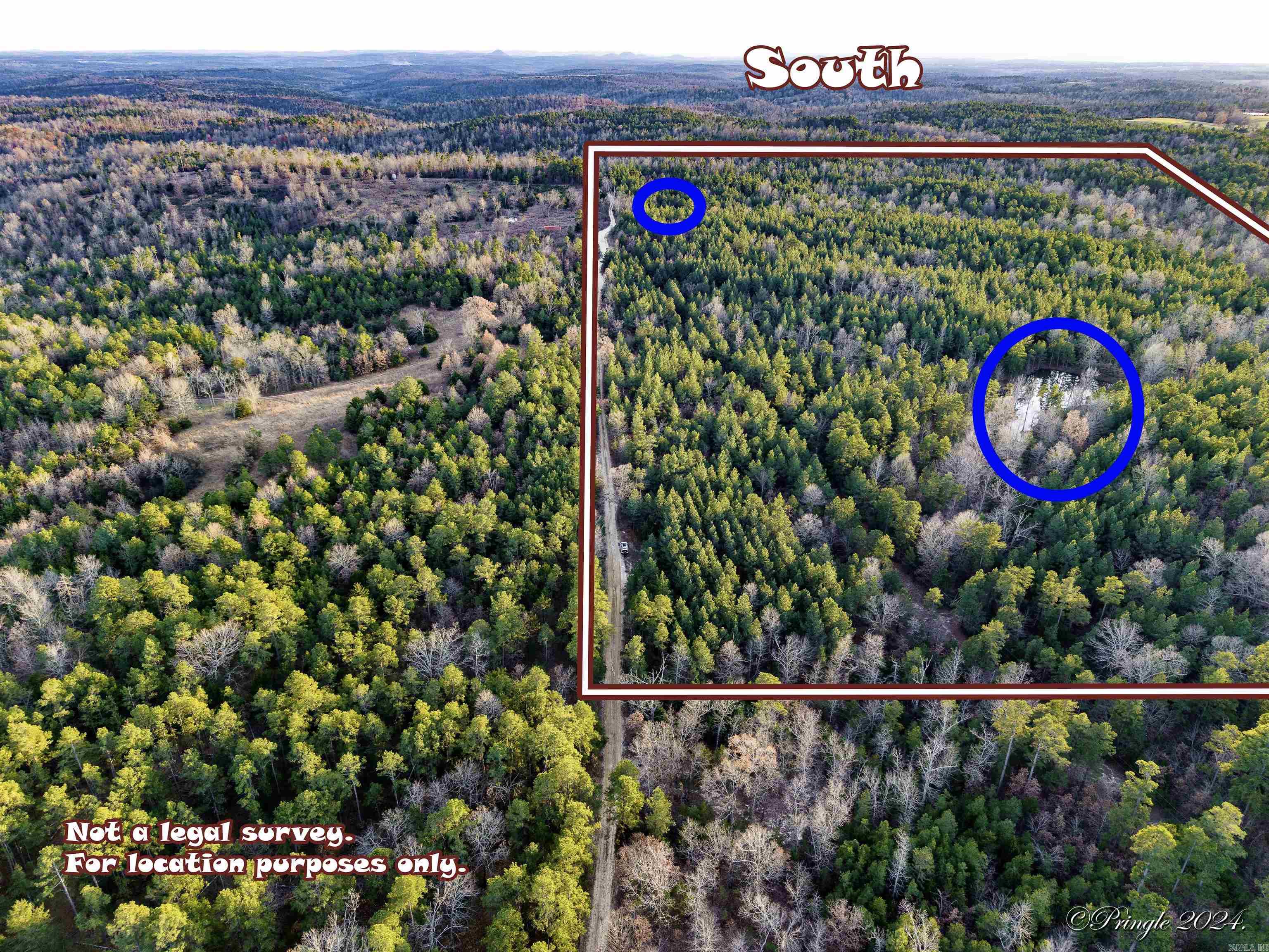 Photo 5 - Vacant Land for sale – 000  Highway 223 South   Bexar, AR