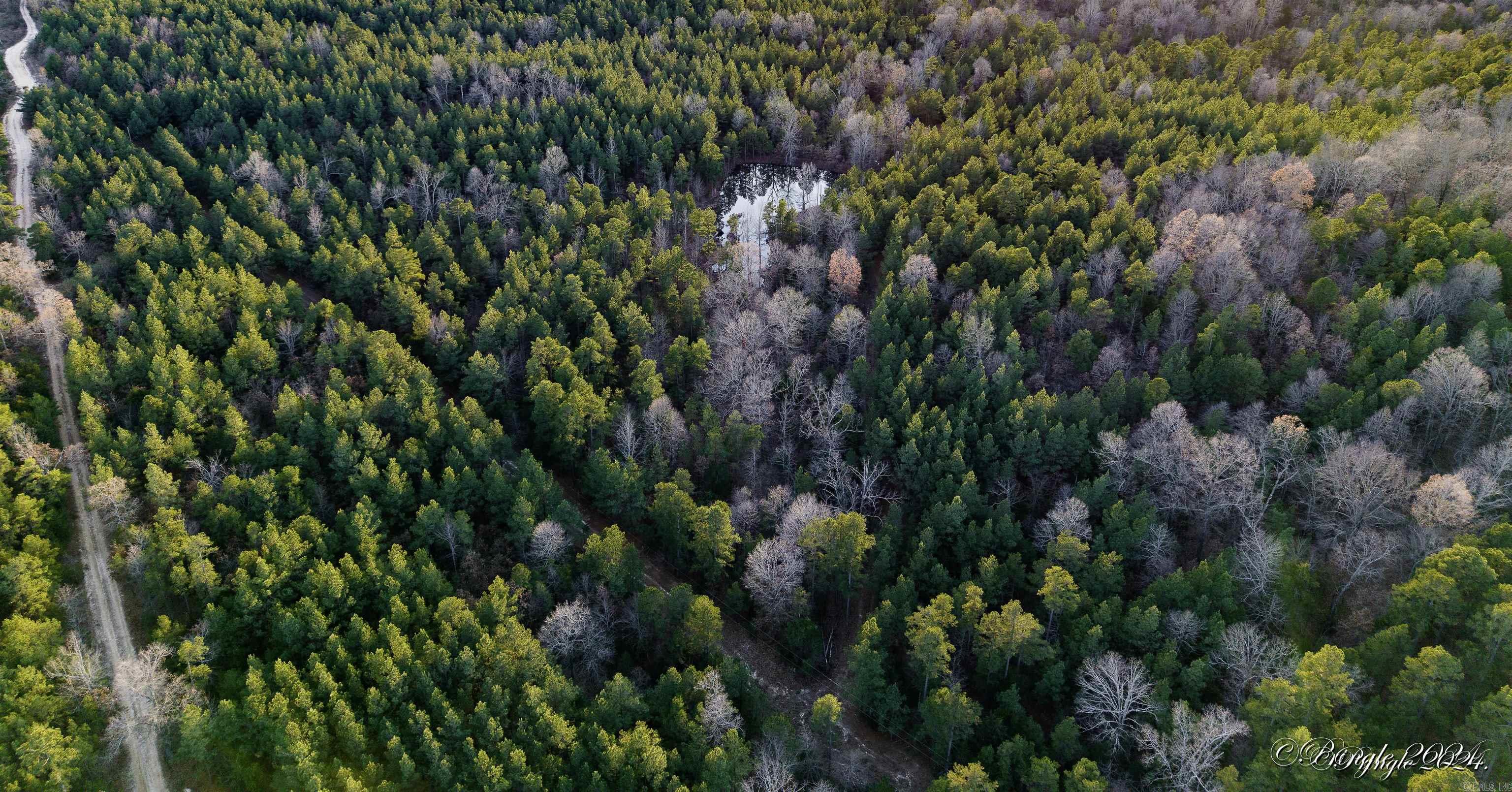 Photo 7 - Vacant Land for sale – 000  Highway 223 South   Bexar, AR