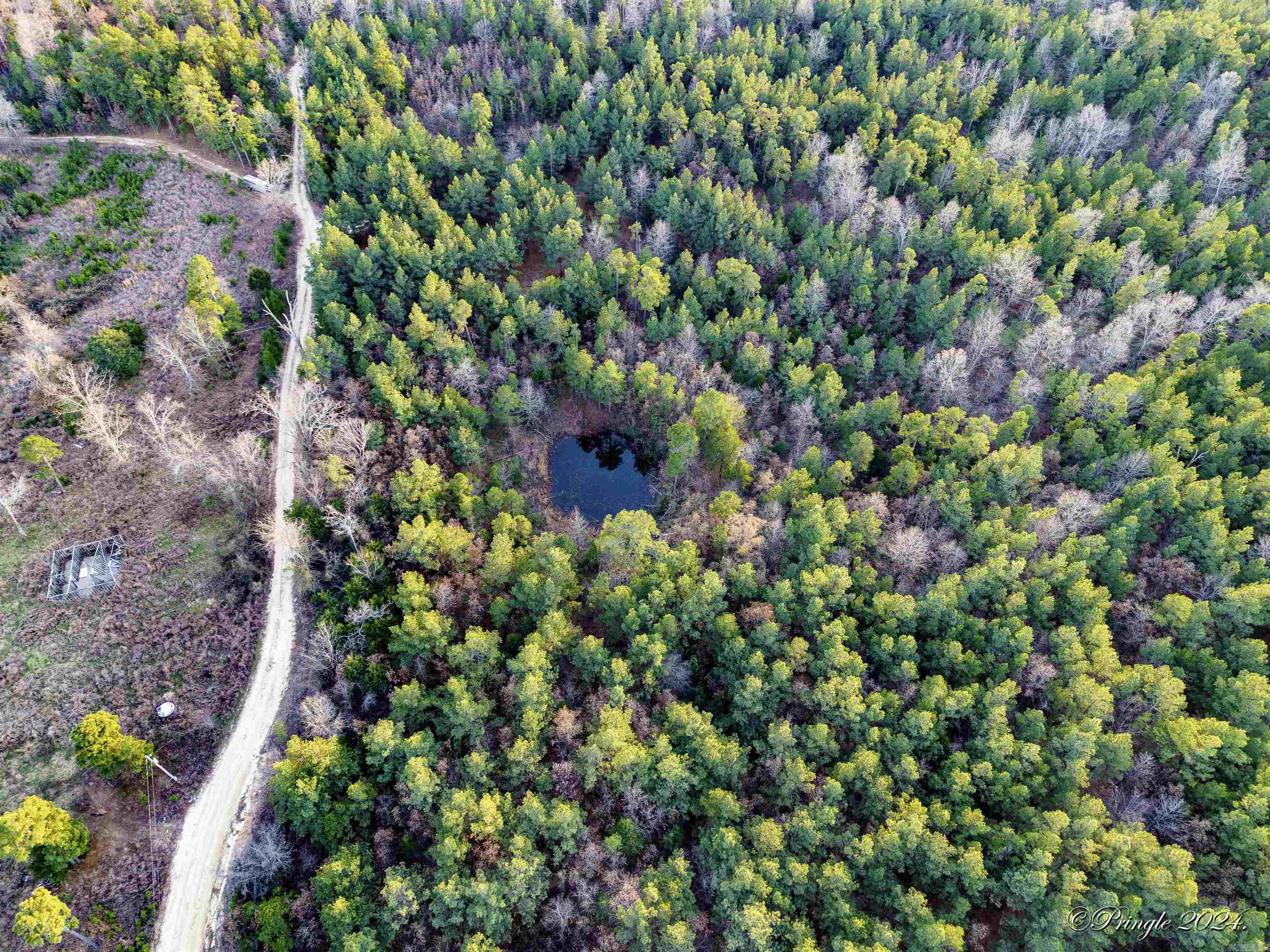 Photo 8 - Vacant Land for sale – 000  Highway 223 South   Bexar, AR