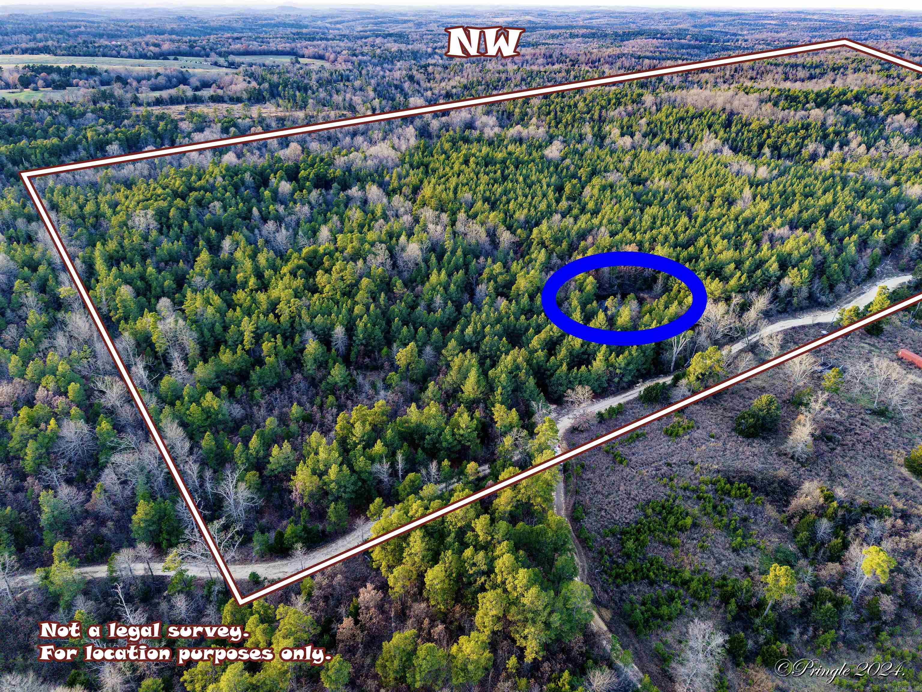 Photo 9 - Vacant Land for sale – 000  Highway 223 South   Bexar, AR