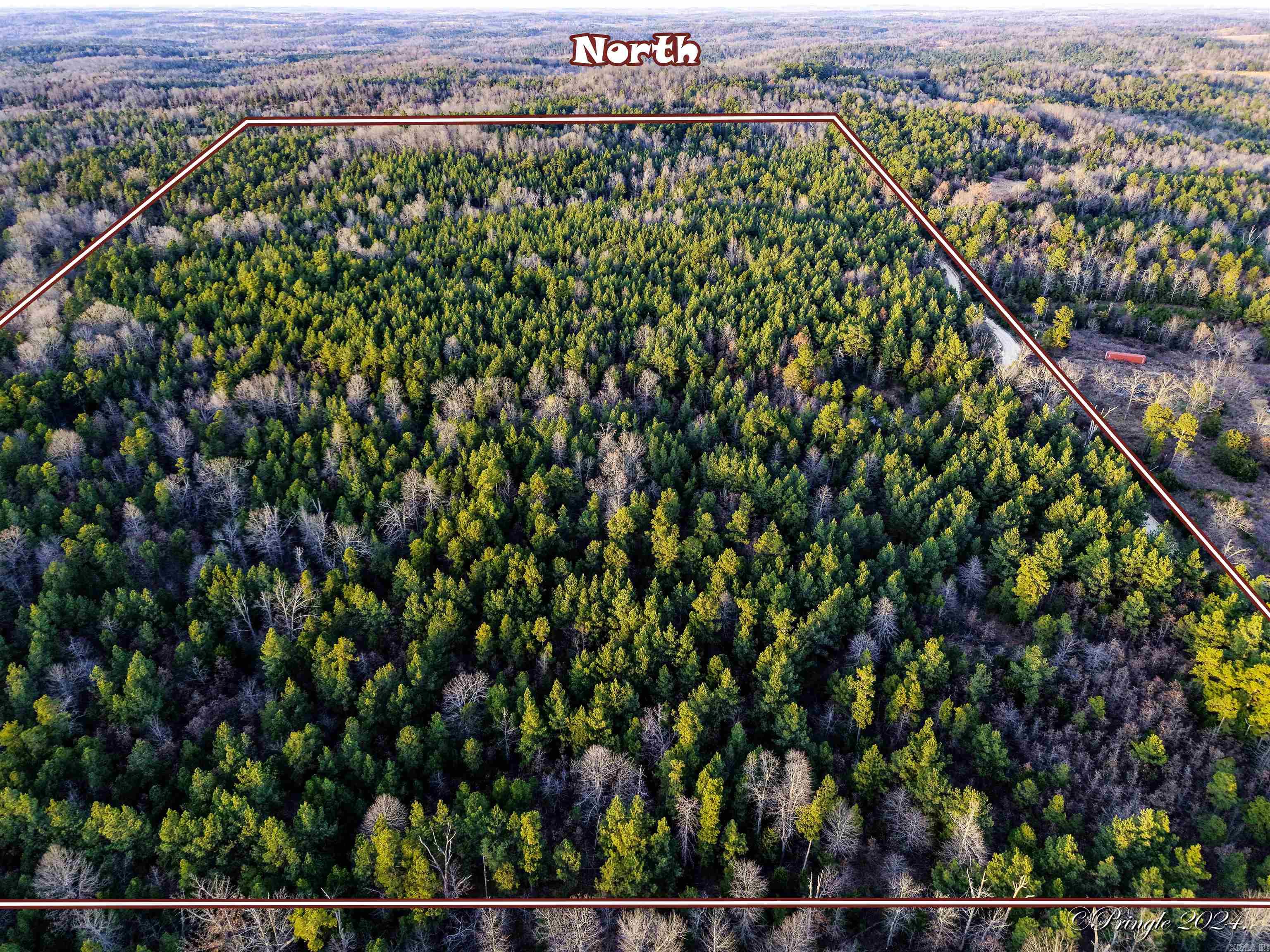 Photo 10 - Vacant Land for sale – 000  Highway 223 South   Bexar, AR