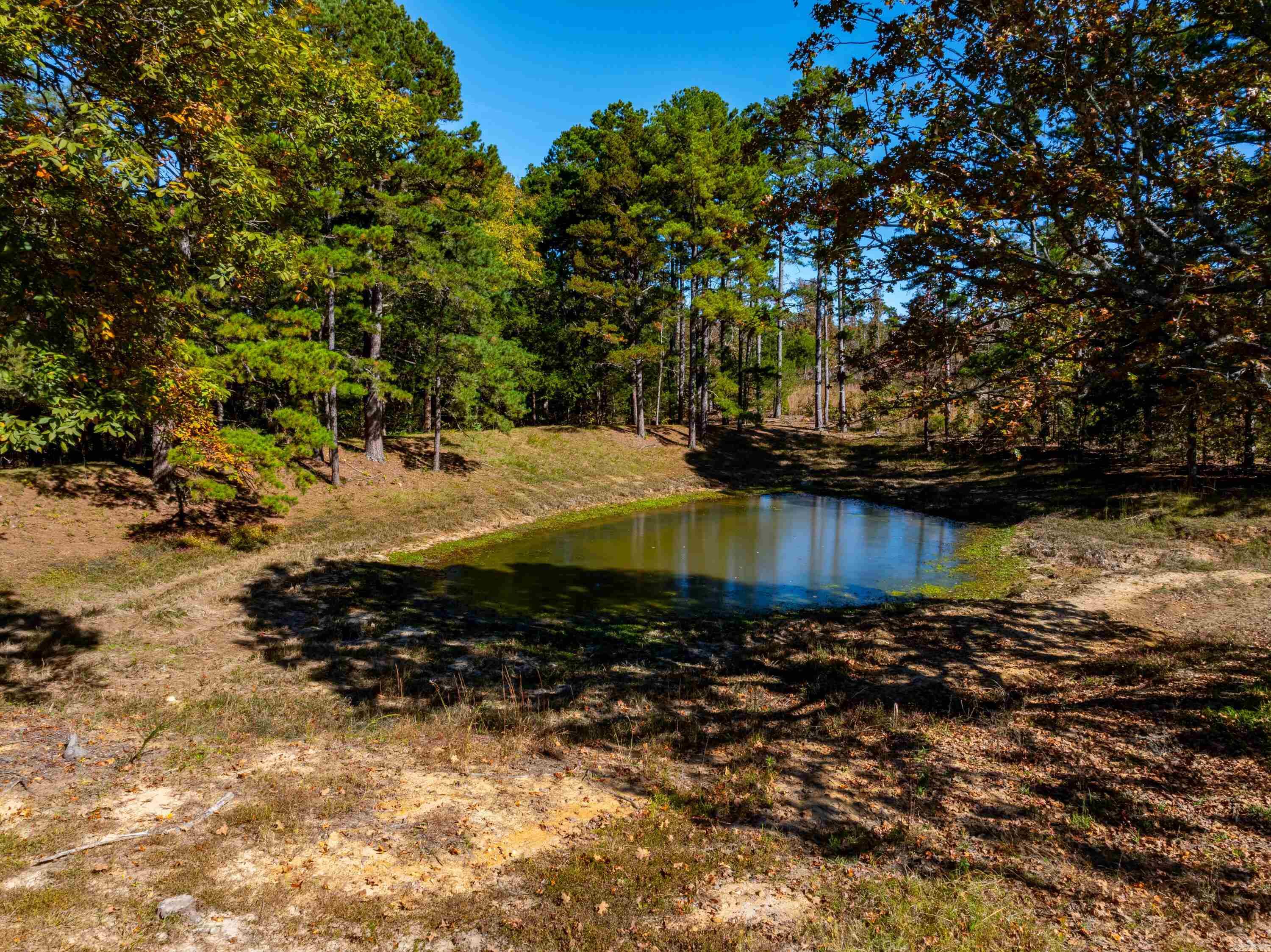 Photo 37 - Residential for sale – 34  Sorrell Rd   Cave City, AR