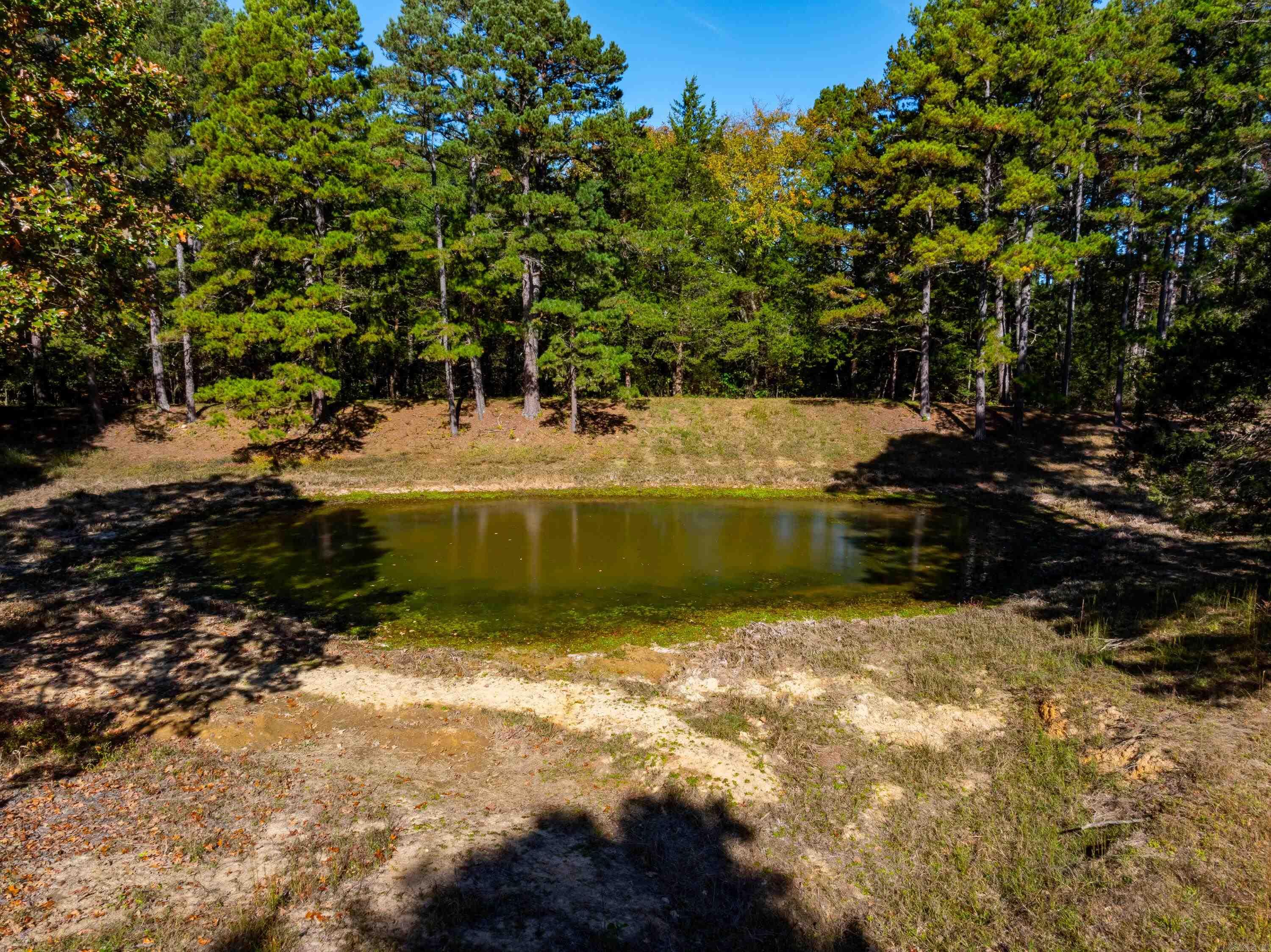 Photo 50 - Residential for sale – 34  Sorrell Rd   Cave City, AR