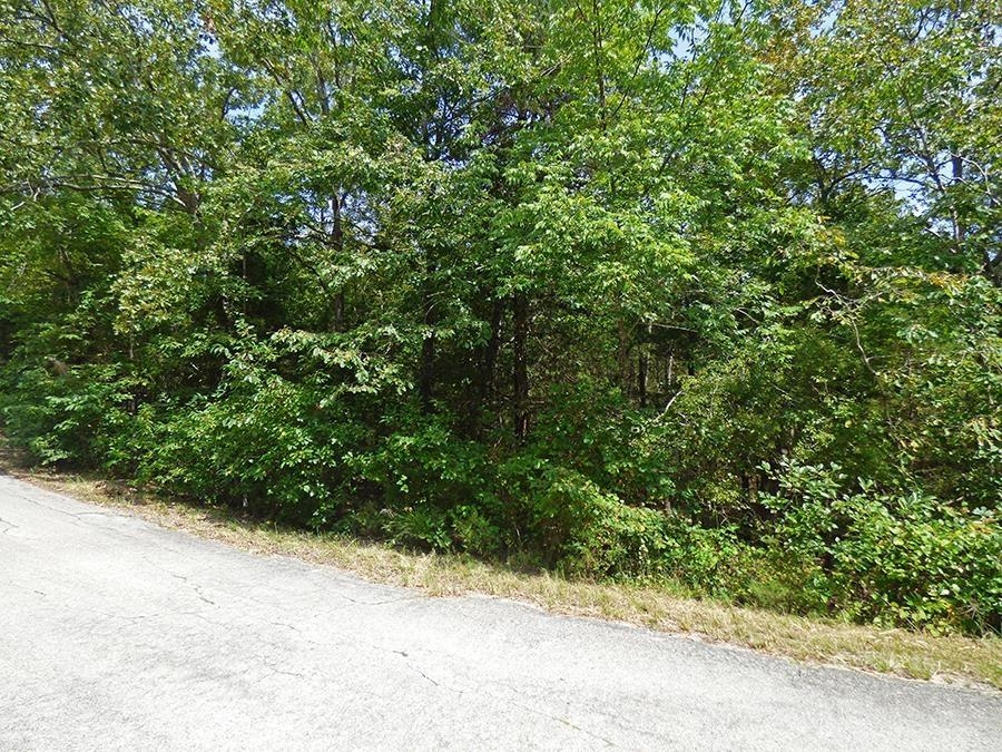 Photo 2 - Vacant Land for sale – 32 & 33  Isleta   Cherokee Village, AR