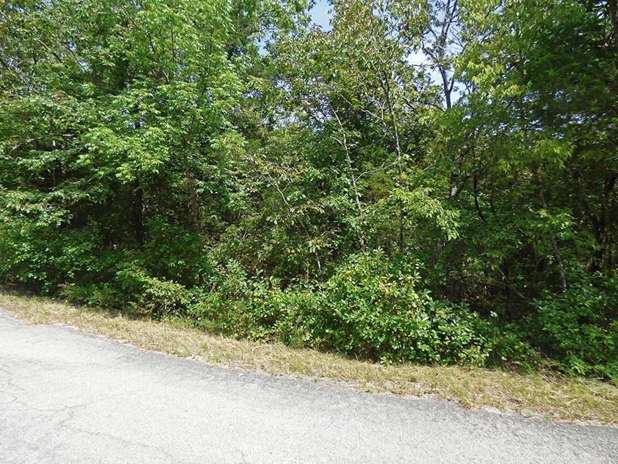 Photo 3 - Vacant Land for sale – 32 & 33  Isleta   Cherokee Village, AR