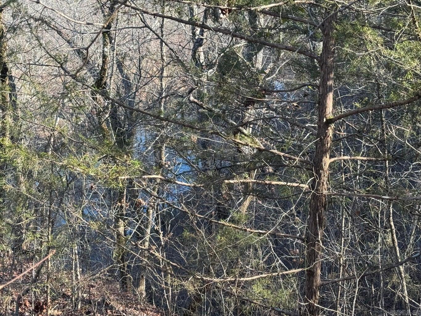 Photo 11 - Vacant Land for sale – 60  A Tablerock   Evening Shade, AR