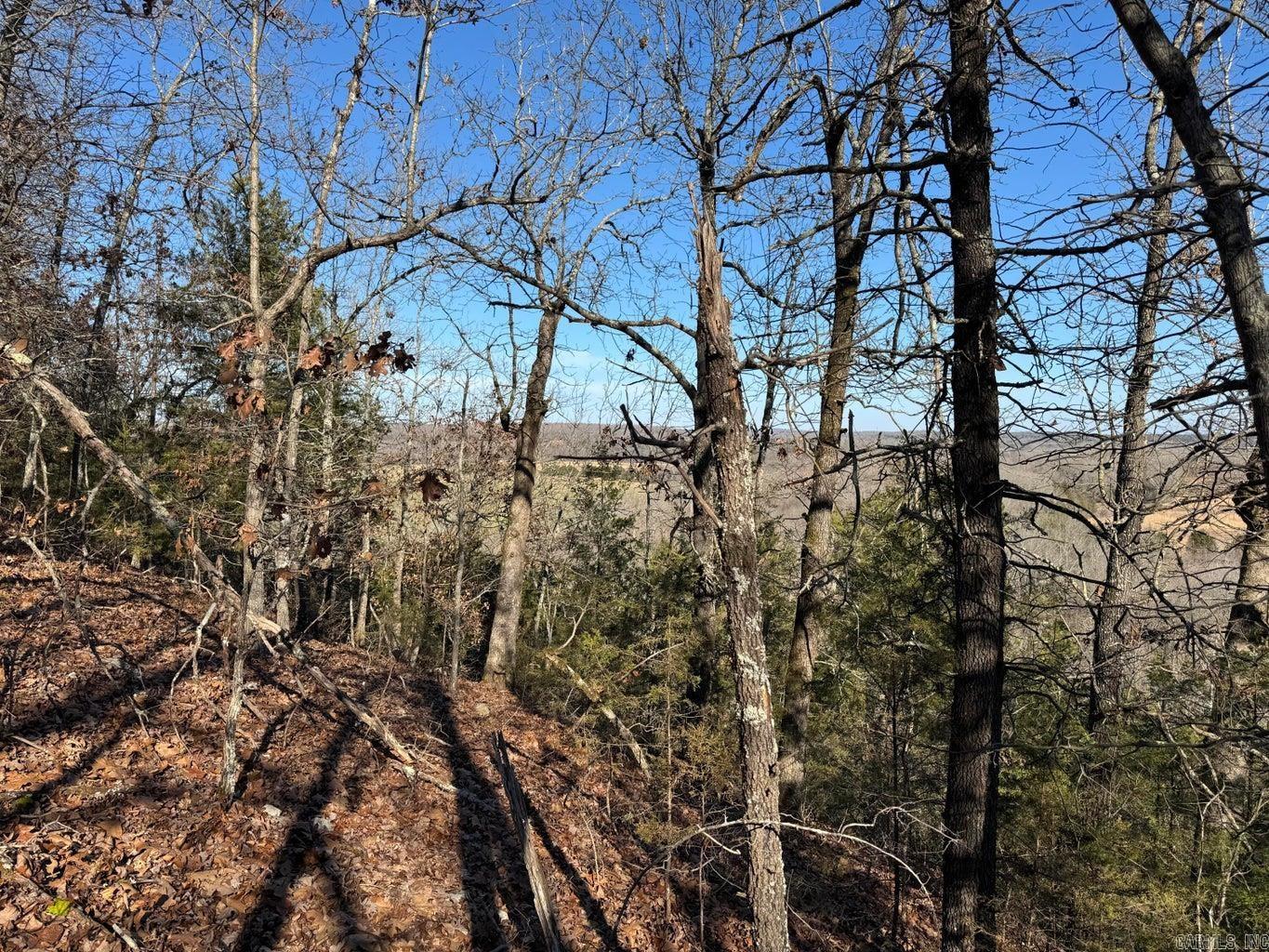 Photo 3 - Vacant Land for sale – 60  A Tablerock   Evening Shade, AR