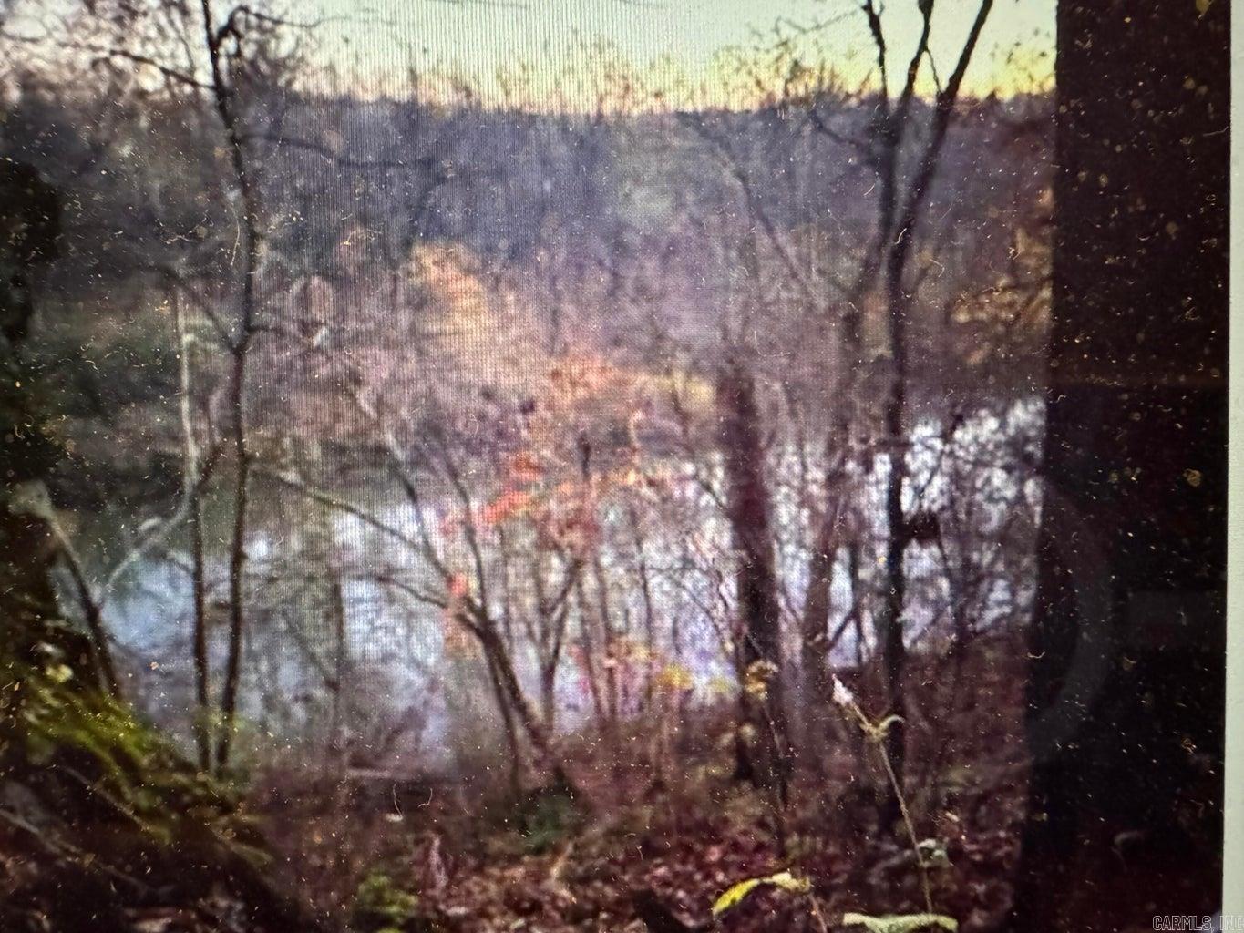 Photo 4 - Vacant Land for sale – 60  A Tablerock   Evening Shade, AR