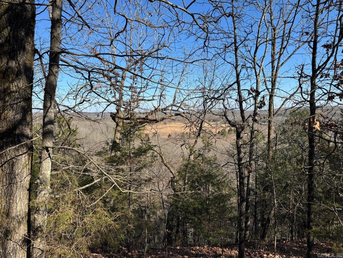 Photo 5 - Vacant Land for sale – 60  A Tablerock   Evening Shade, AR