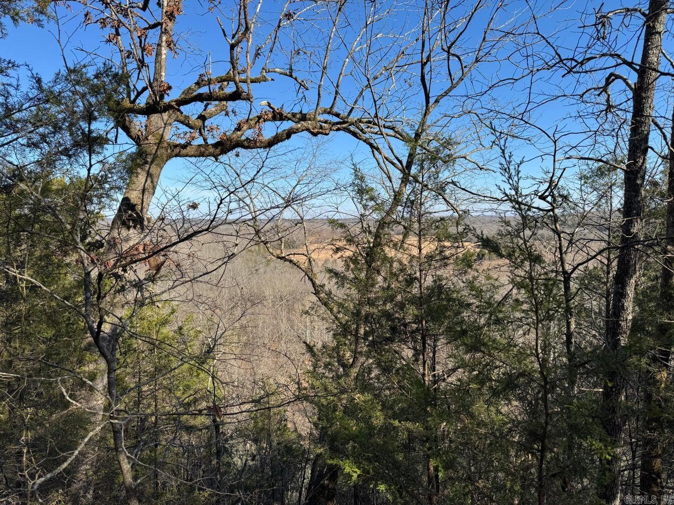 Photo 6 - Vacant Land for sale – 60  A Tablerock   Evening Shade, AR