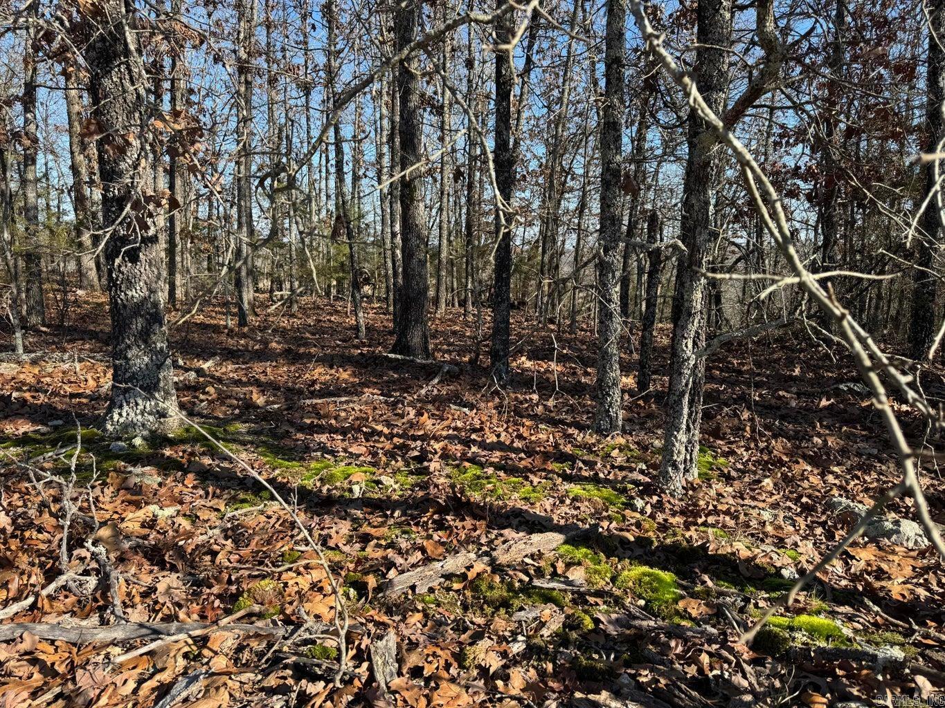 Photo 7 - Vacant Land for sale – 60  A Tablerock   Evening Shade, AR