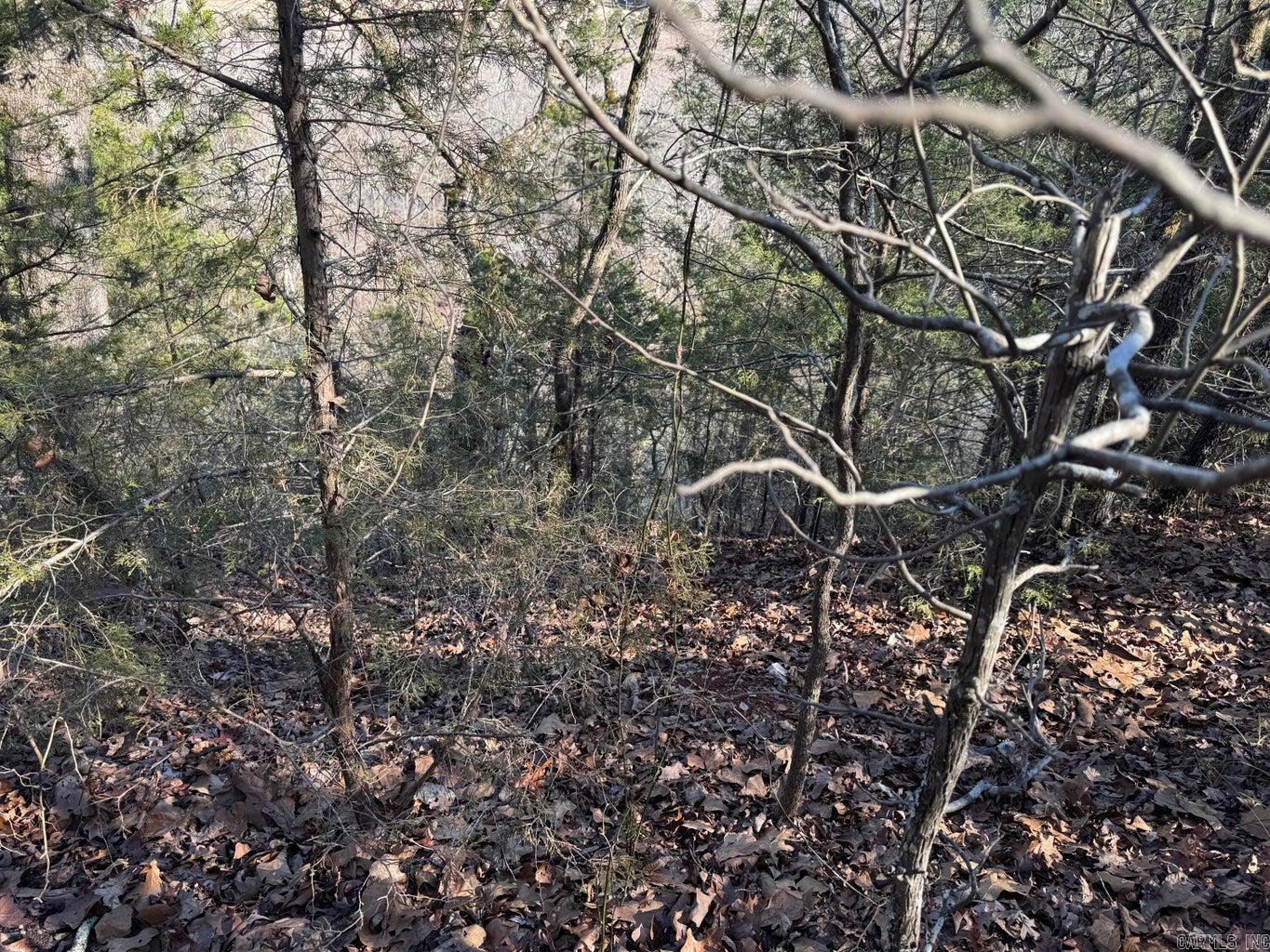 Photo 8 - Vacant Land for sale – 60  A Tablerock   Evening Shade, AR