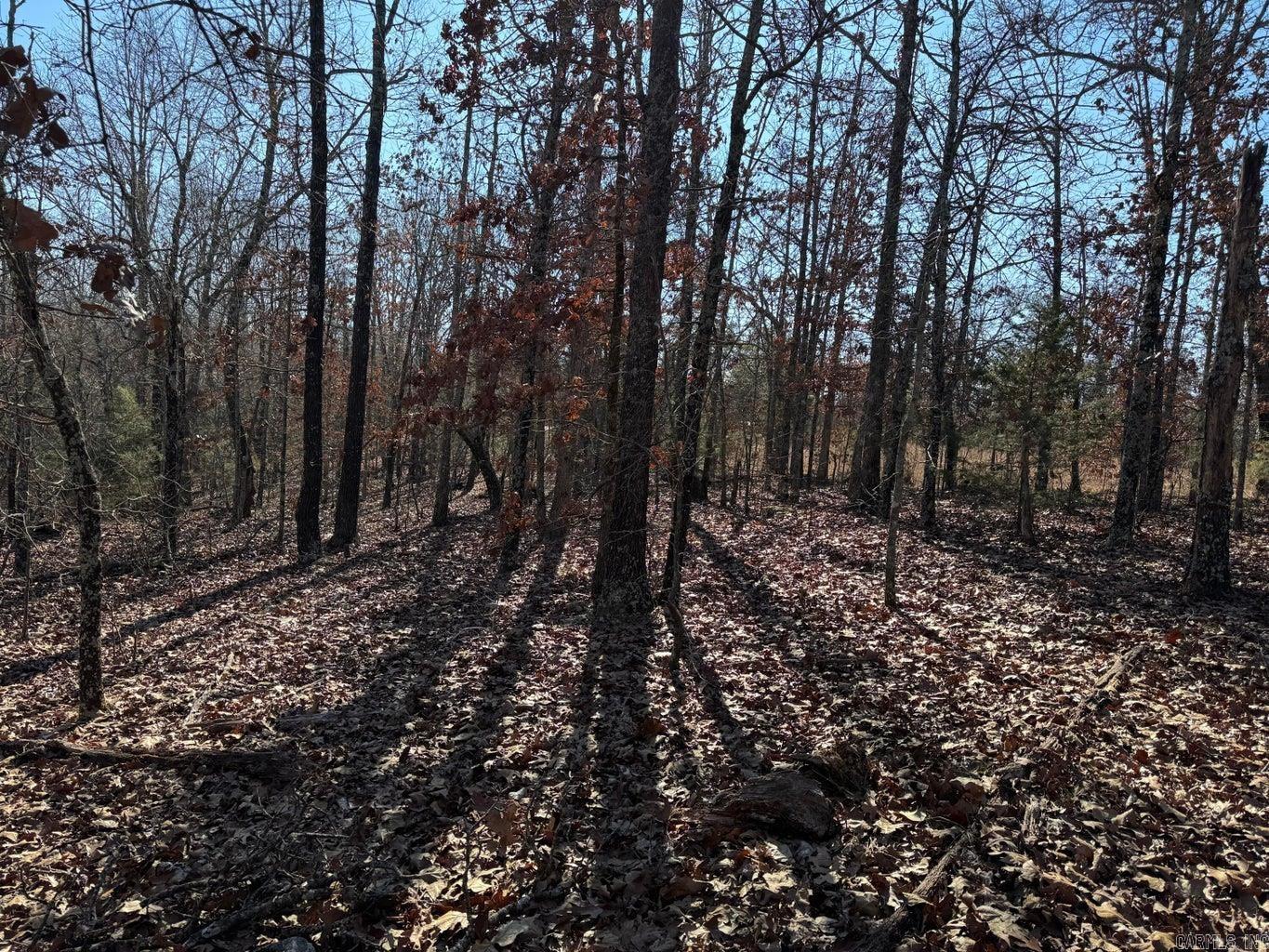 Photo 9 - Vacant Land for sale – 60  A Tablerock   Evening Shade, AR