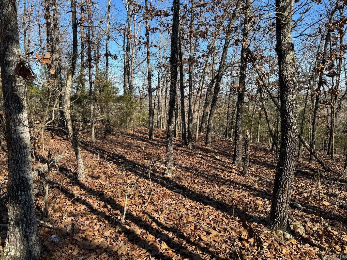 Photo 10 - Vacant Land for sale – 60  A Tablerock   Evening Shade, AR