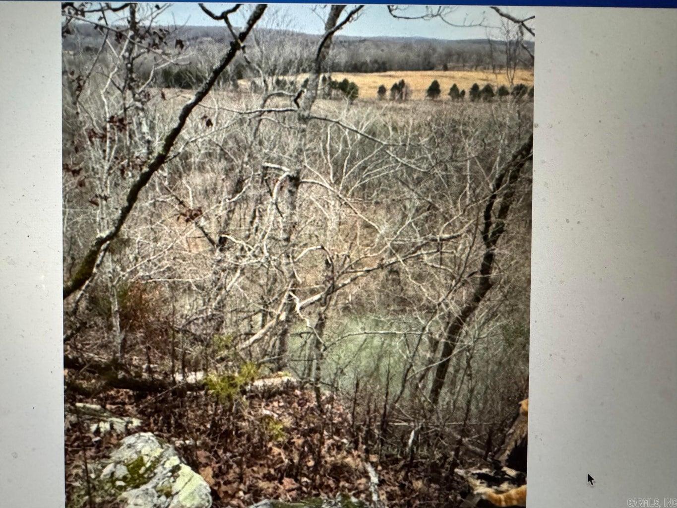 Photo 11 - Vacant Land for sale – 60  B Tablerock   Evening Shade, AR