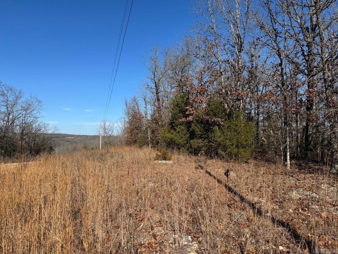 Photo 4 - Vacant Land for sale – 60  B Tablerock   Evening Shade, AR