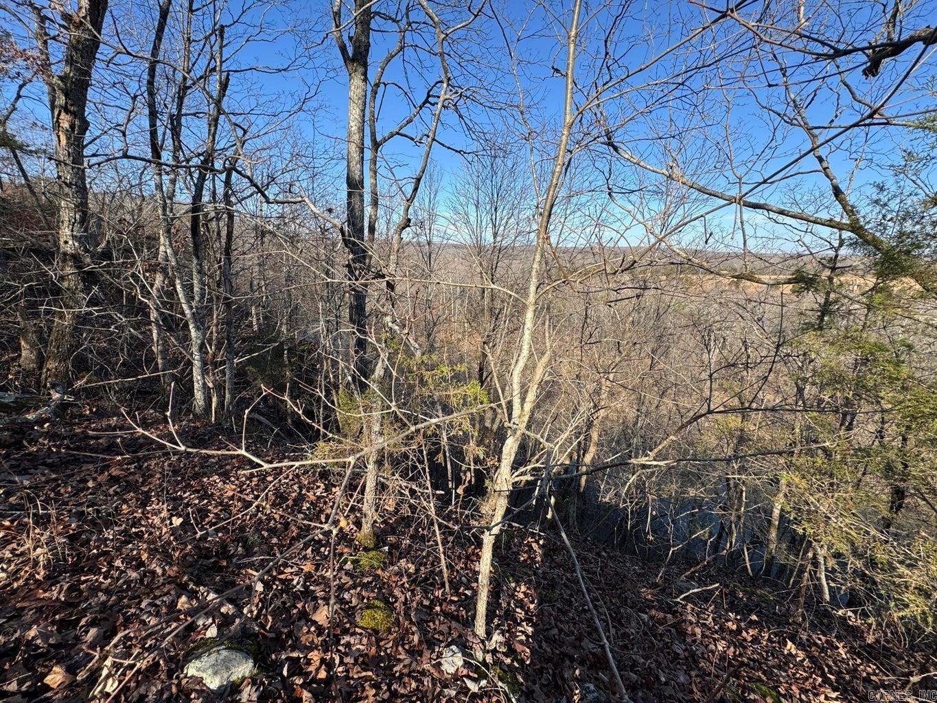 Photo 5 - Vacant Land for sale – 60  B Tablerock   Evening Shade, AR