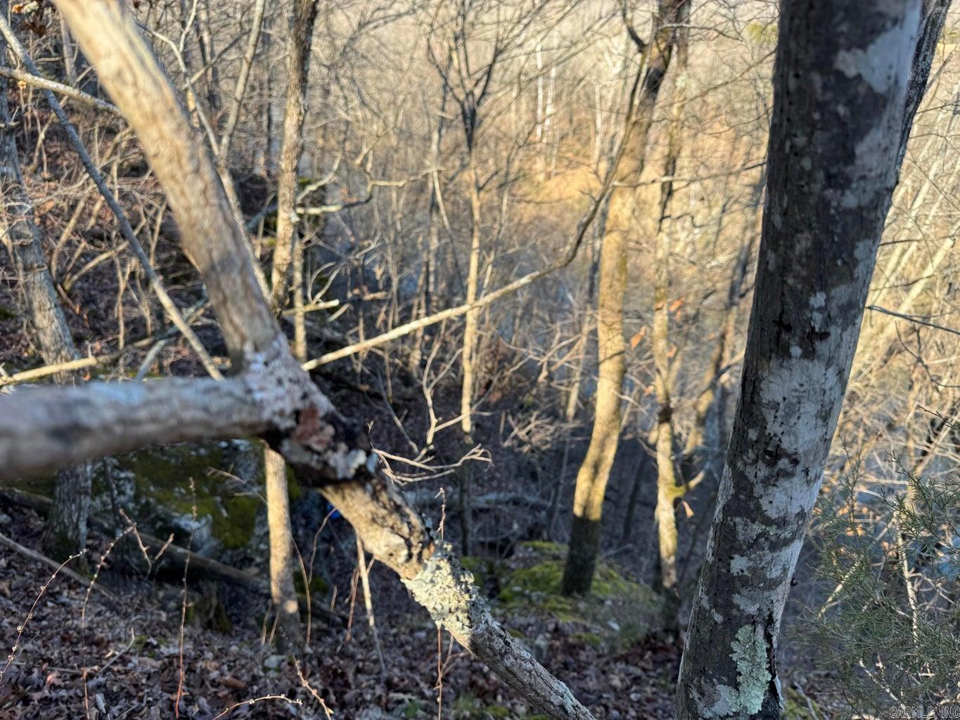 Photo 7 - Vacant Land for sale – 60  B Tablerock   Evening Shade, AR
