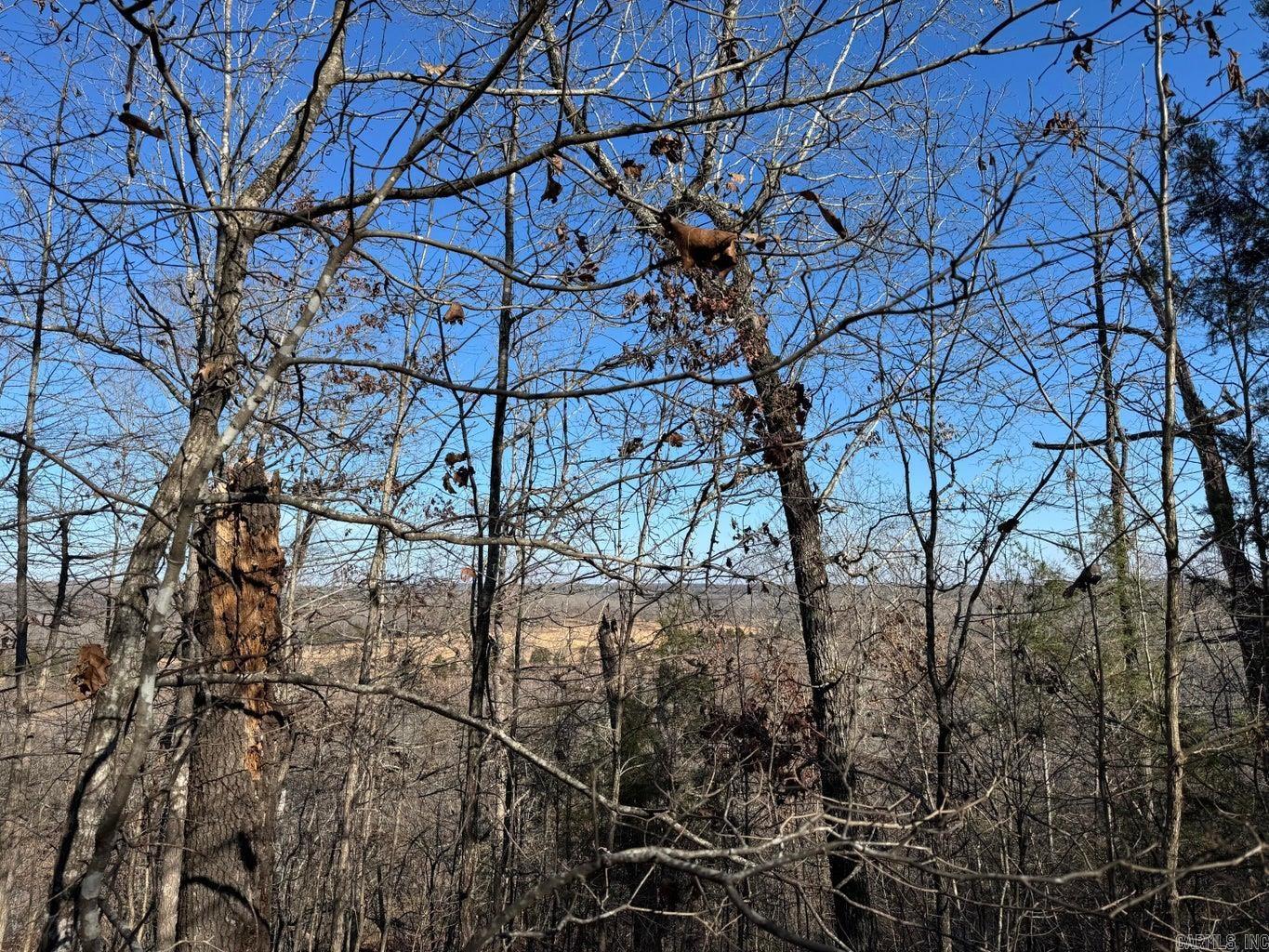 Photo 8 - Vacant Land for sale – 60  B Tablerock   Evening Shade, AR