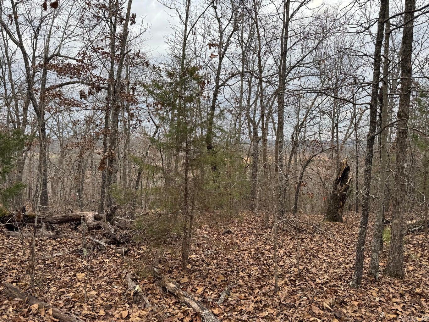 Photo 10 - Vacant Land for sale – 60  B Tablerock   Evening Shade, AR