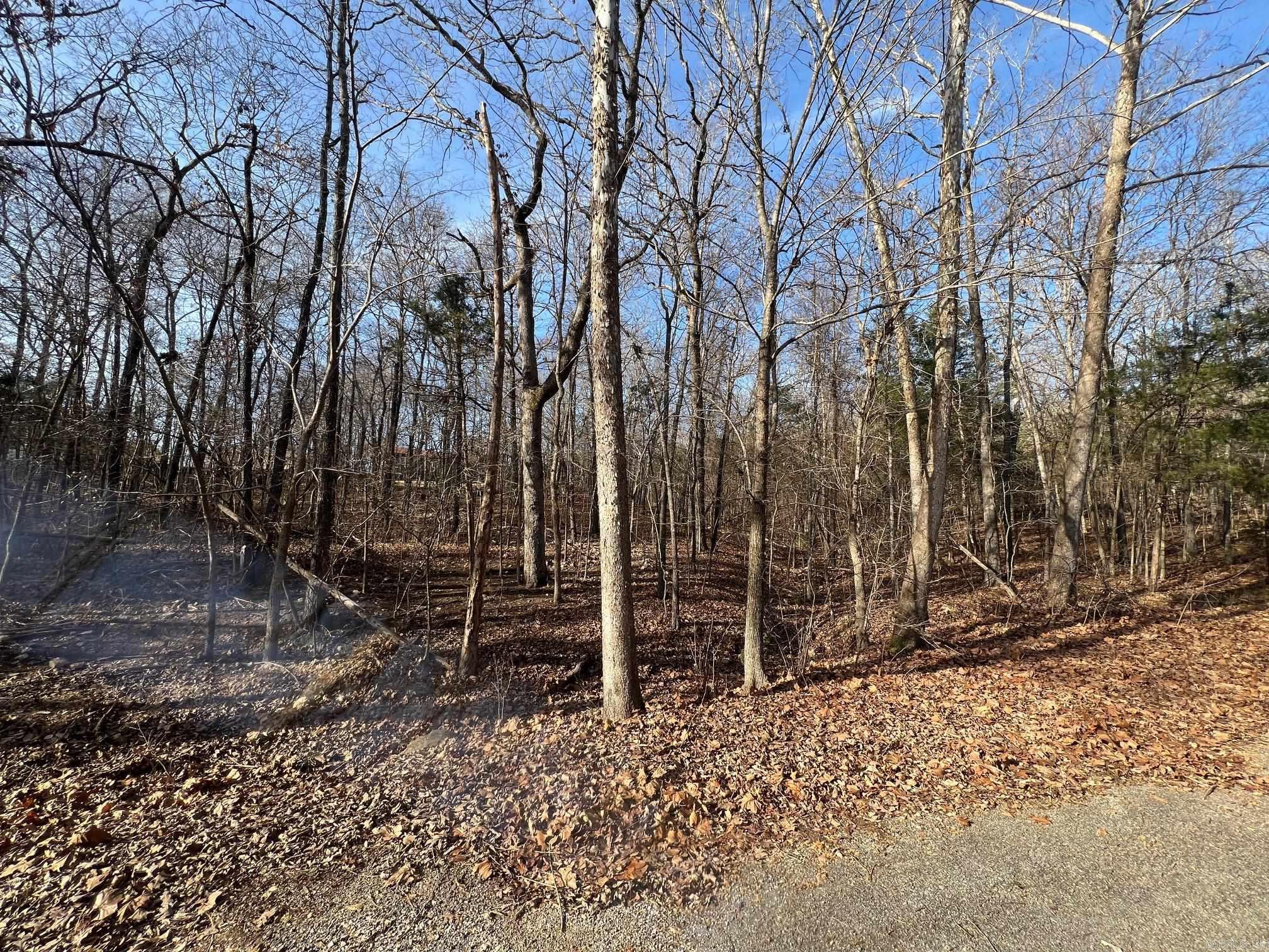 Photo 2 - Vacant Land for sale – Lot 9  Kewe   Cherokee Village, AR