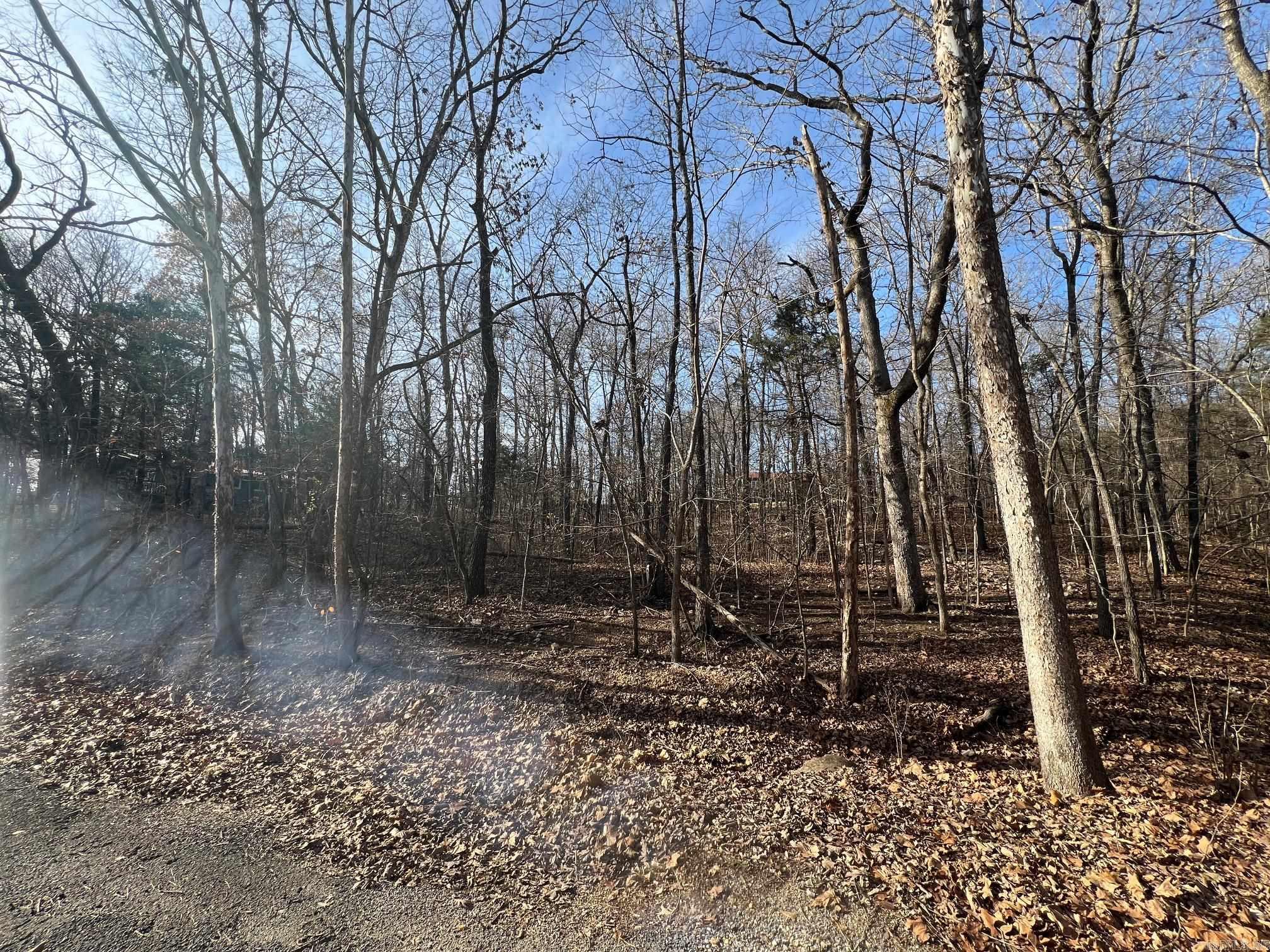 Photo 3 - Vacant Land for sale – Lot 9  Kewe   Cherokee Village, AR