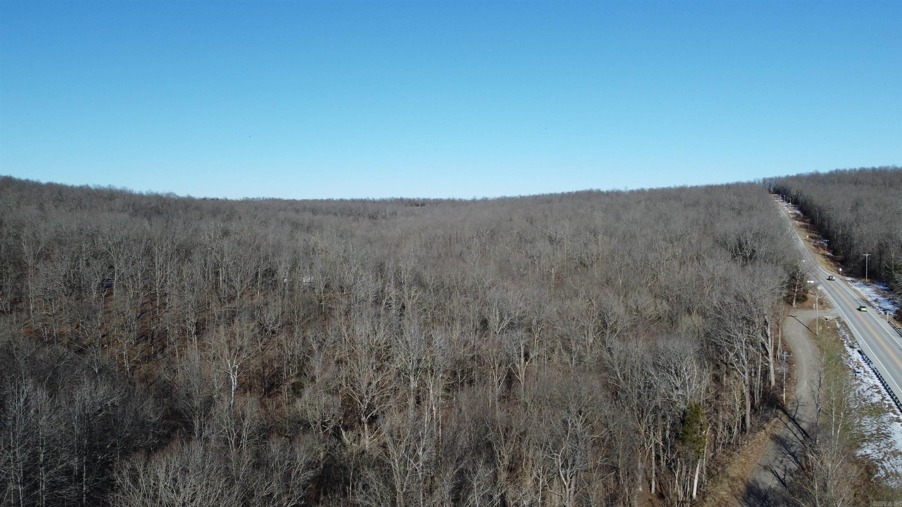 Photo 2 - Vacant Land for sale –   Hwy 289 South   Horseshoe Bend, AR