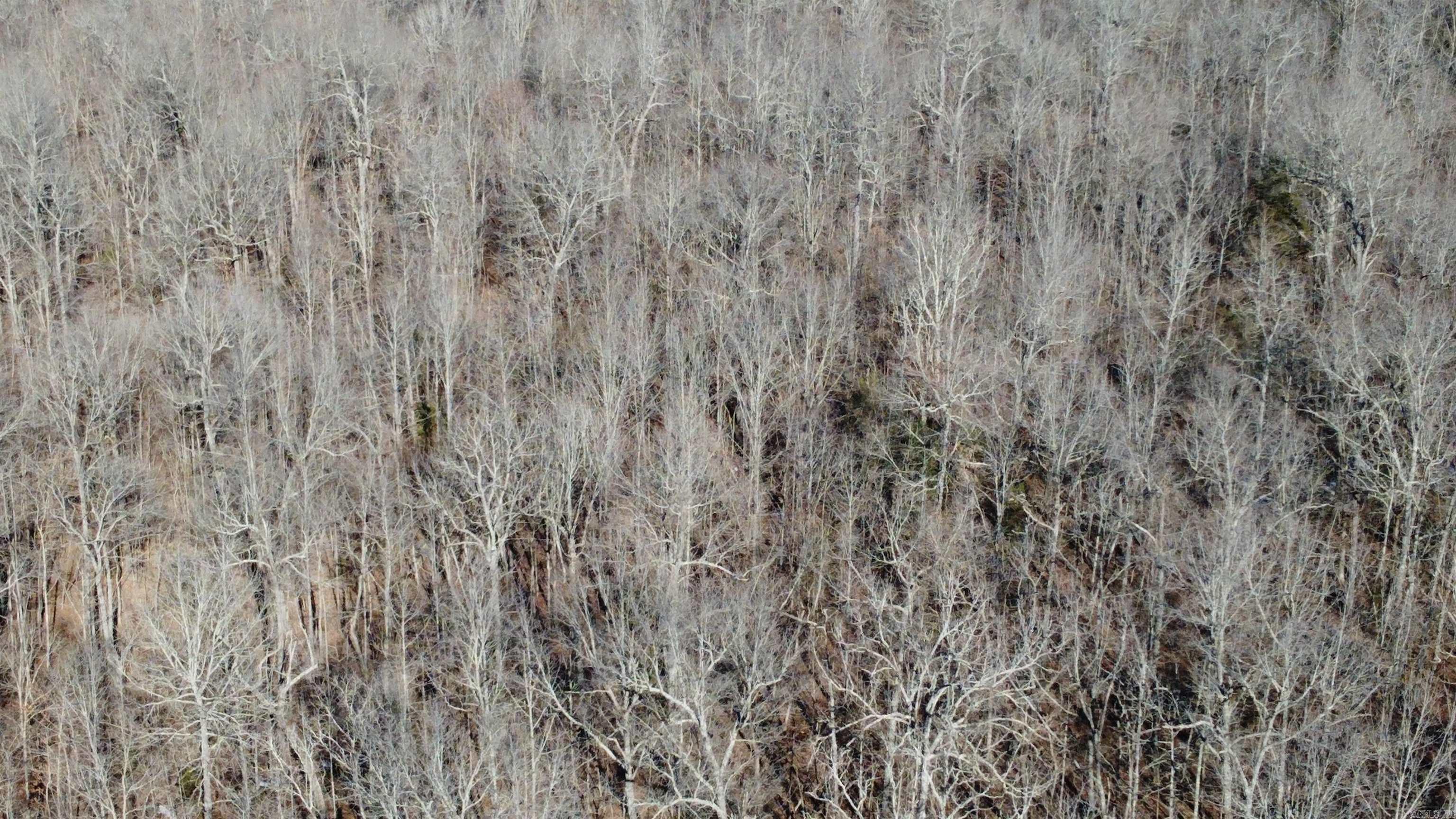 Photo 11 - Vacant Land for sale –   Hwy 289 South   Horseshoe Bend, AR