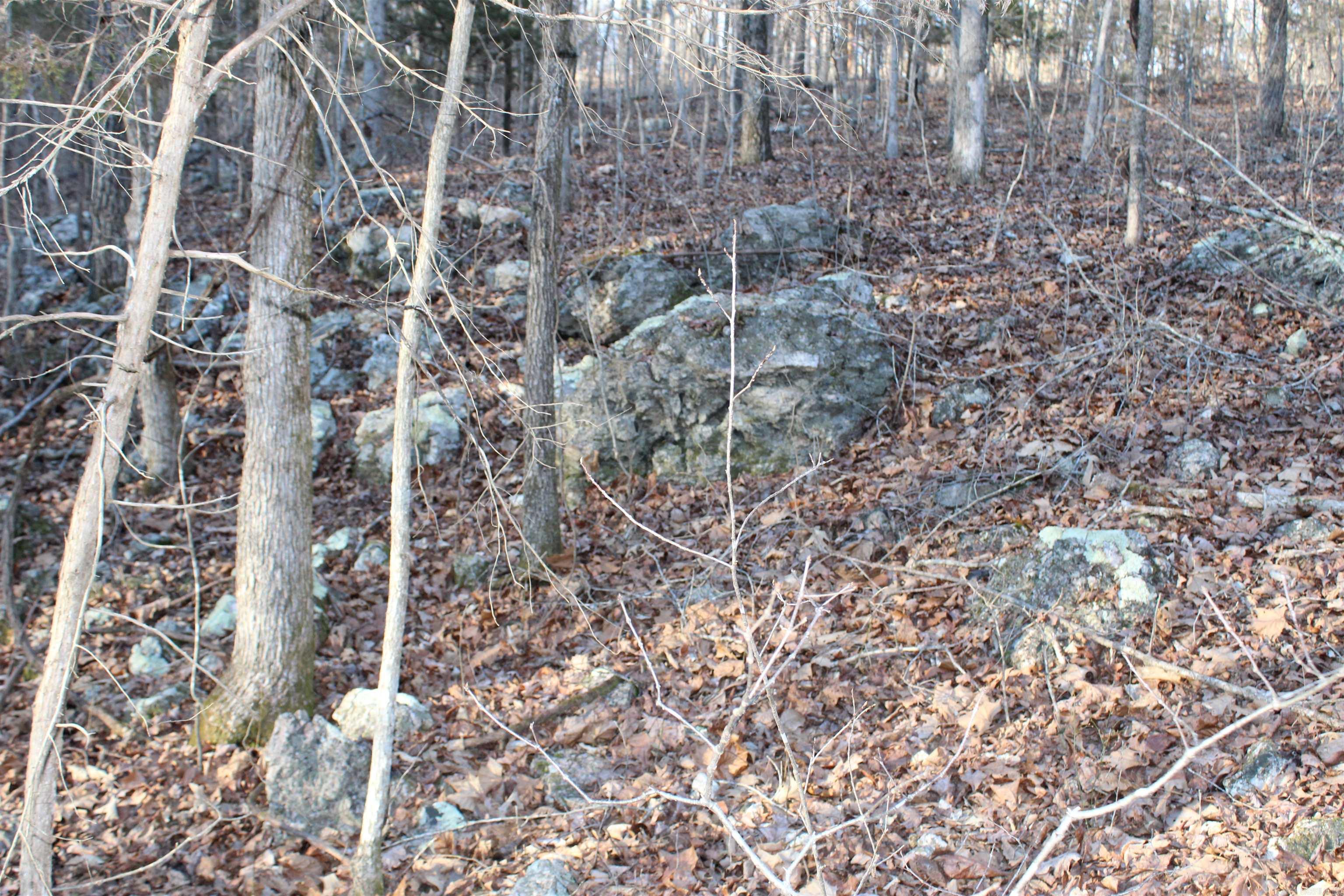 Photo 12 - Vacant Land for sale –   Hwy 289 South   Horseshoe Bend, AR