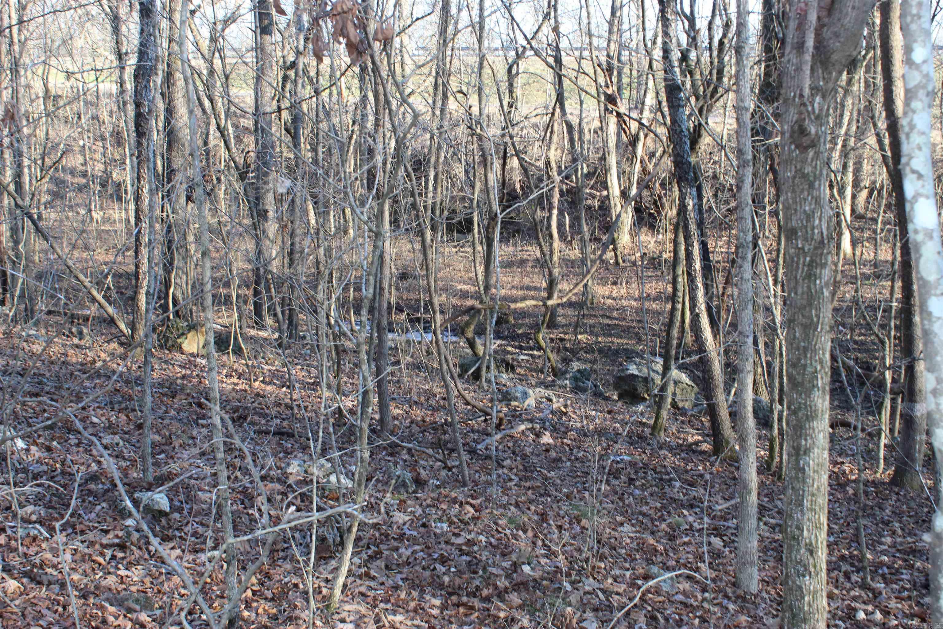 Photo 13 - Vacant Land for sale –   Hwy 289 South   Horseshoe Bend, AR