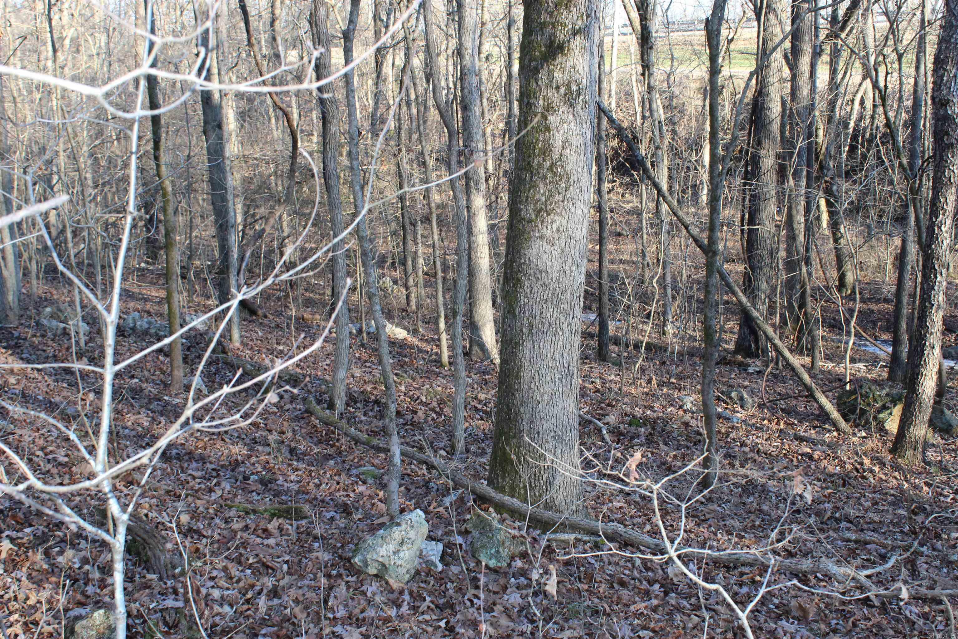 Photo 14 - Vacant Land for sale –   Hwy 289 South   Horseshoe Bend, AR
