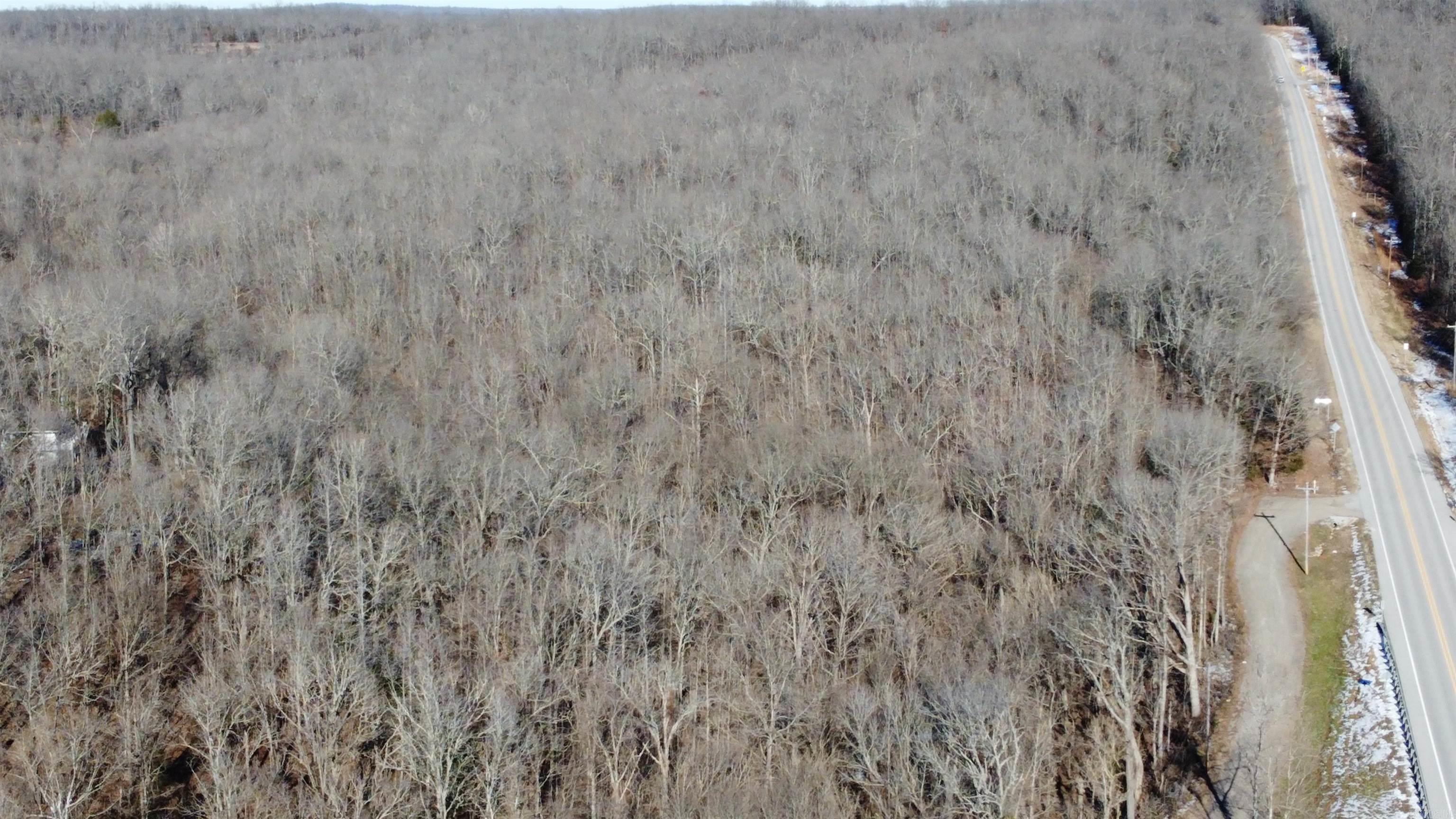 Photo 16 - Vacant Land for sale –   Hwy 289 South   Horseshoe Bend, AR