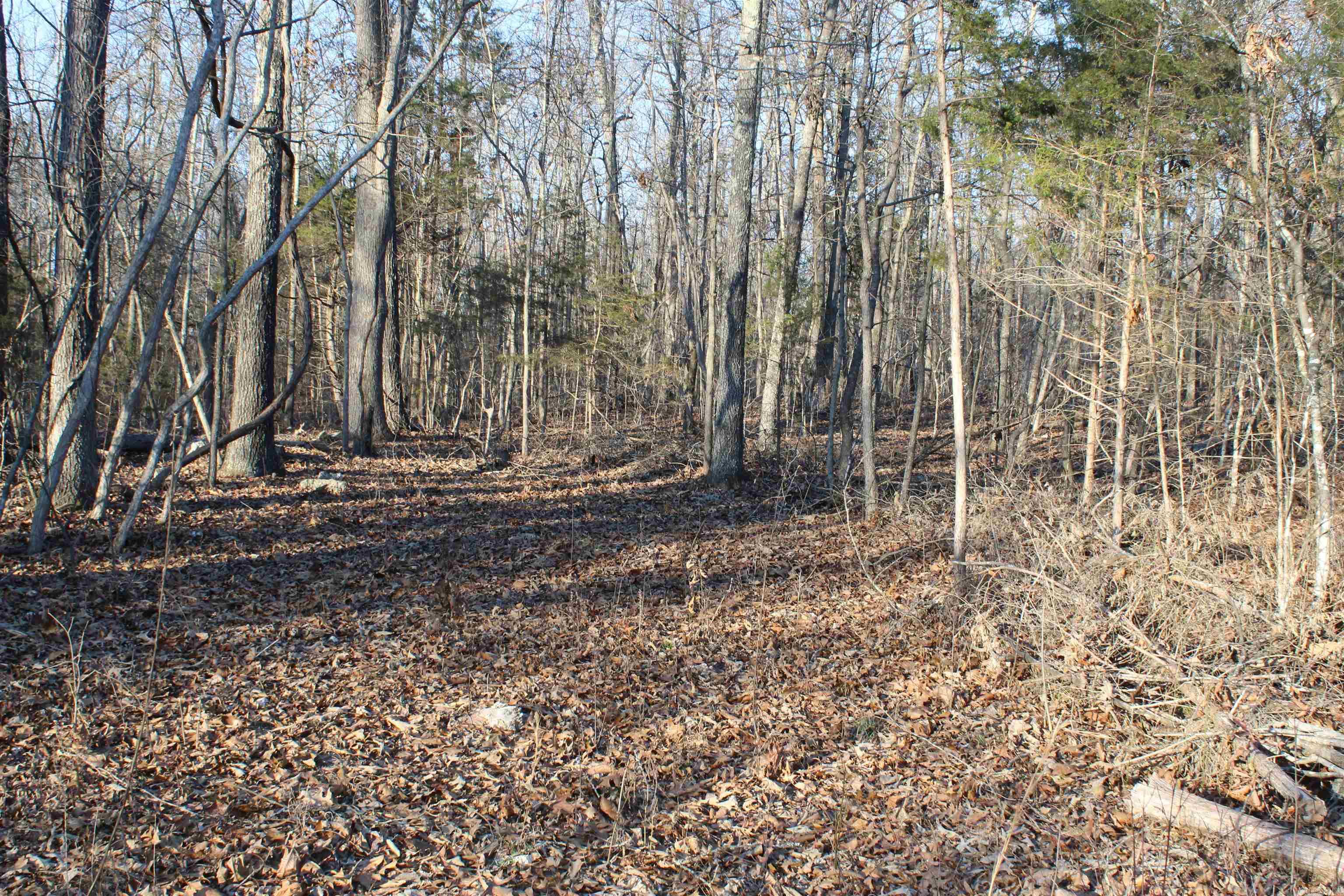Photo 20 - Vacant Land for sale –   Hwy 289 South   Horseshoe Bend, AR
