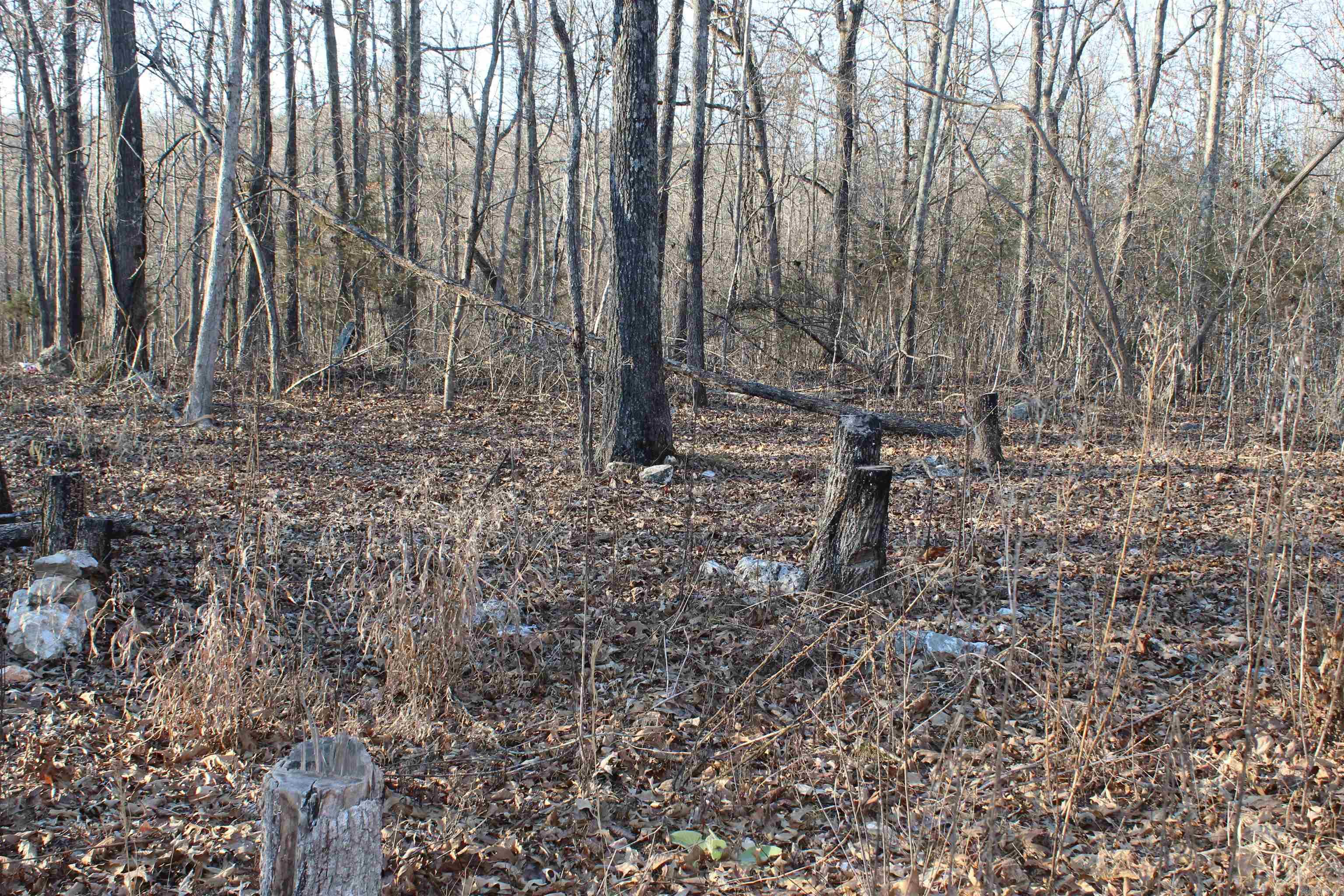 Photo 21 - Vacant Land for sale –   Hwy 289 South   Horseshoe Bend, AR