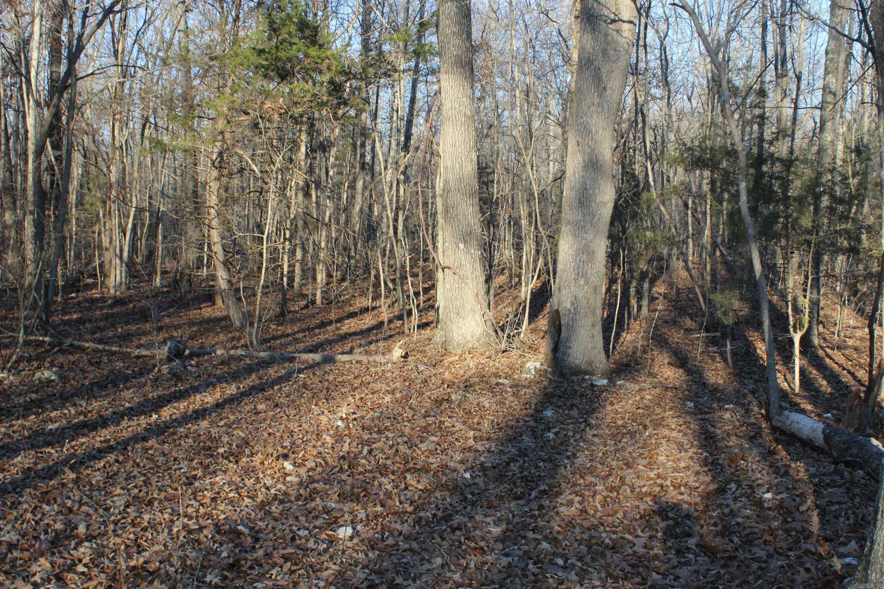 Photo 22 - Vacant Land for sale –   Hwy 289 South   Horseshoe Bend, AR