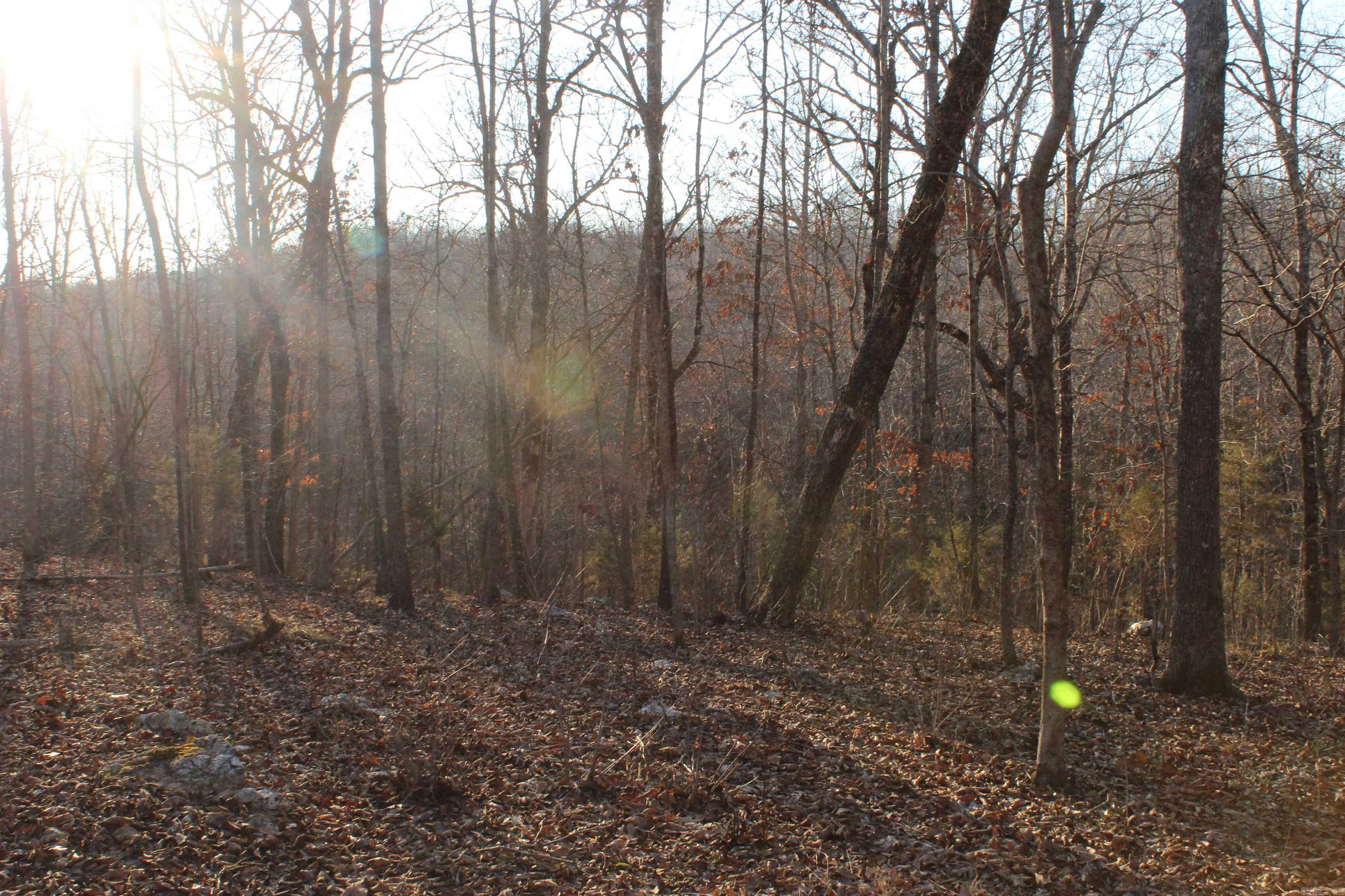 Photo 24 - Vacant Land for sale –   Hwy 289 South   Horseshoe Bend, AR