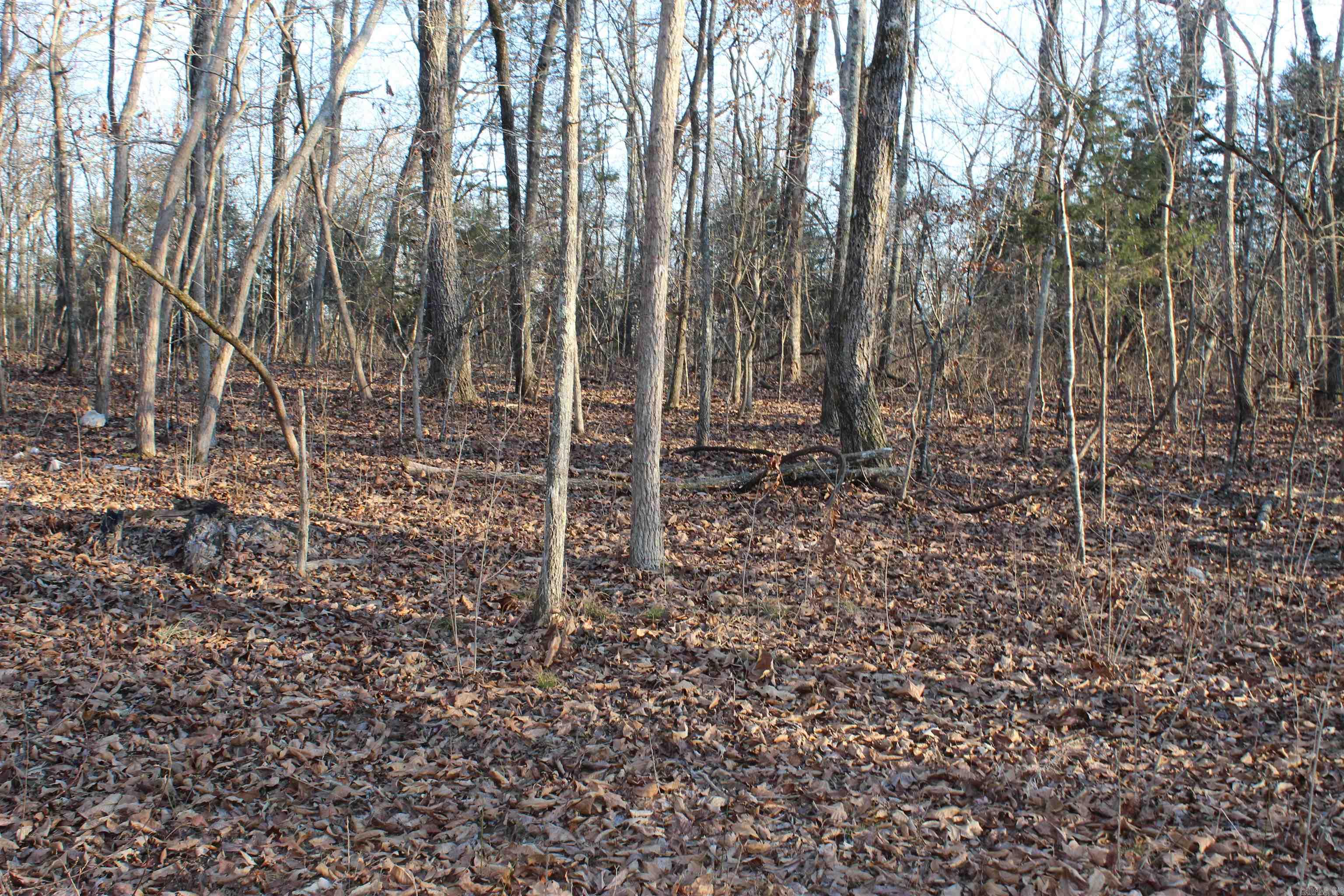 Photo 25 - Vacant Land for sale –   Hwy 289 South   Horseshoe Bend, AR