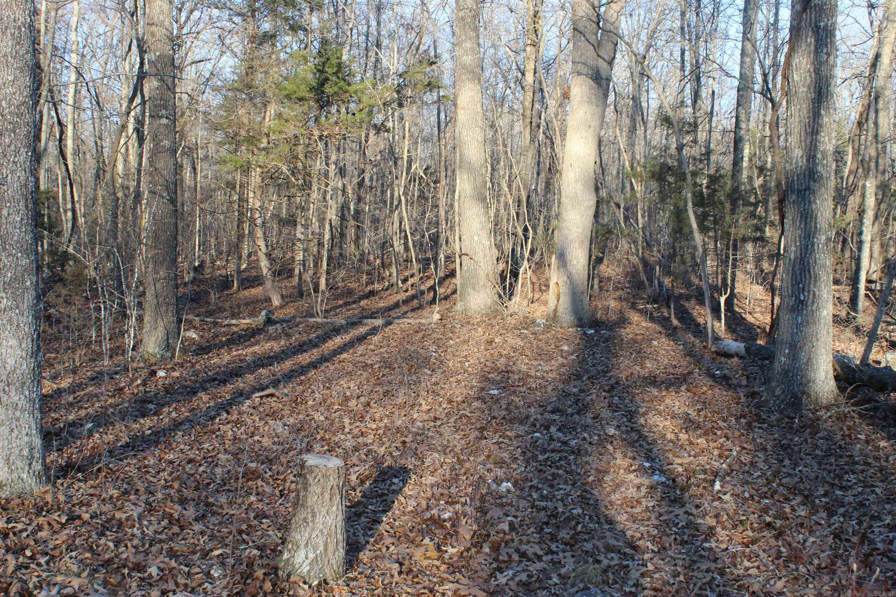 Photo 26 - Vacant Land for sale –   Hwy 289 South   Horseshoe Bend, AR