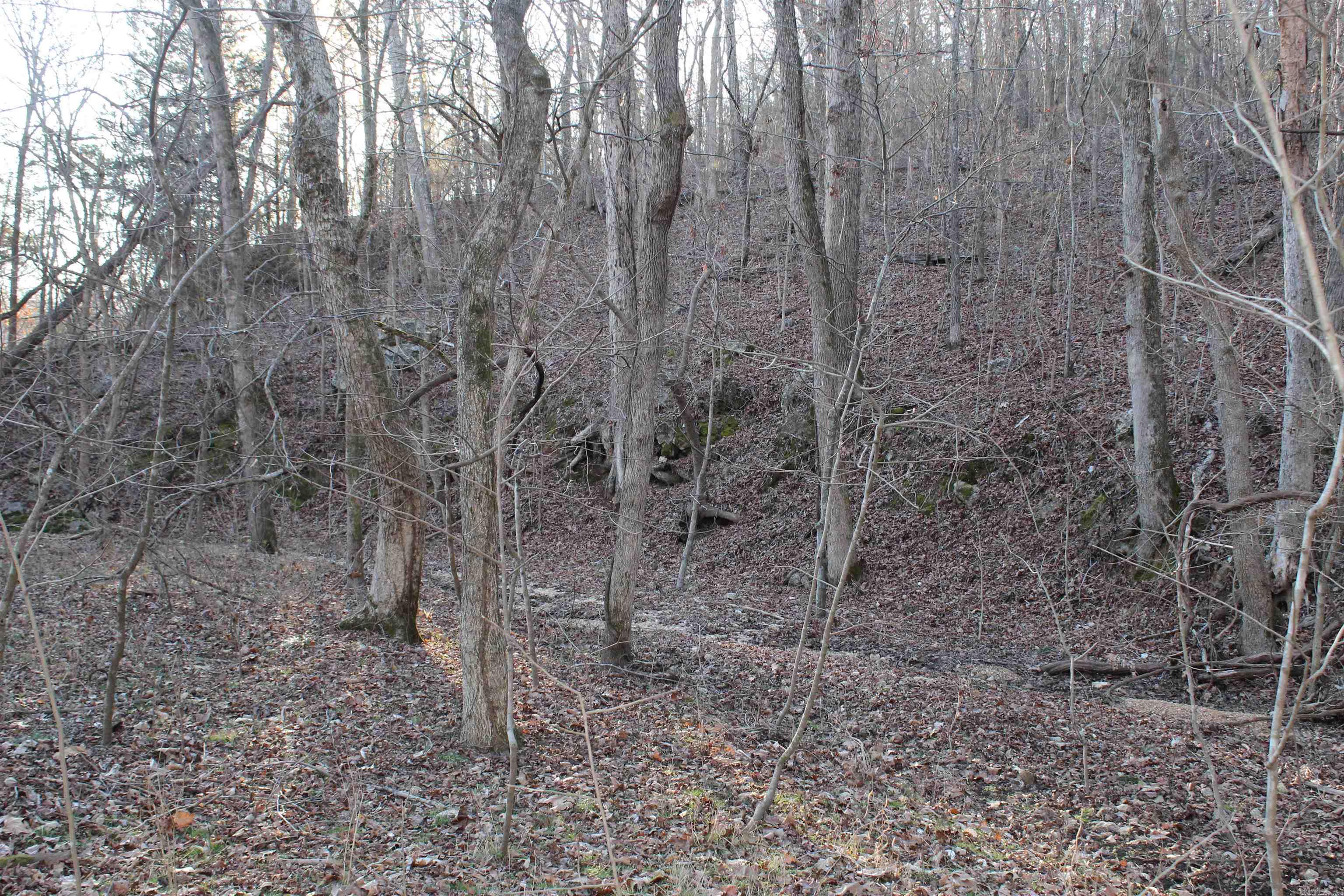 Photo 7 - Vacant Land for sale –   Hwy 289 South   Horseshoe Bend, AR