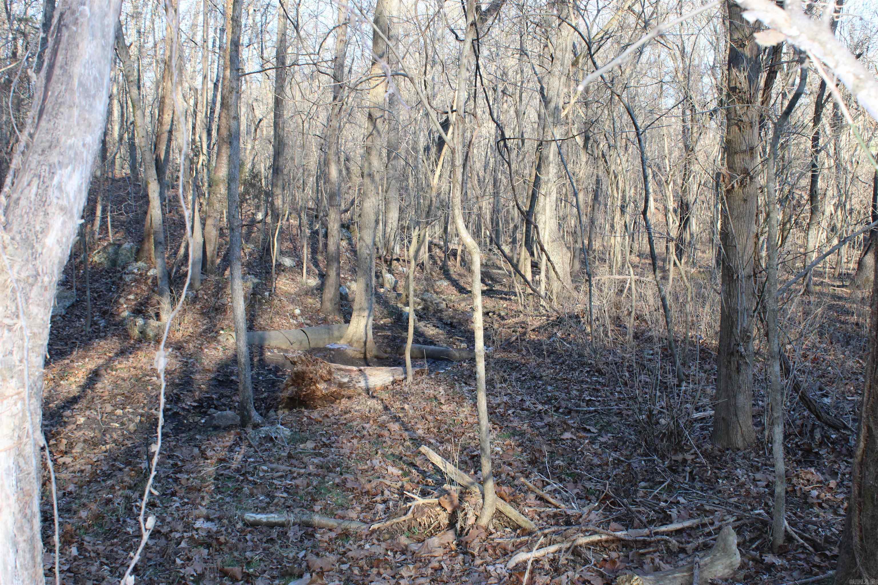 Photo 8 - Vacant Land for sale –   Hwy 289 South   Horseshoe Bend, AR