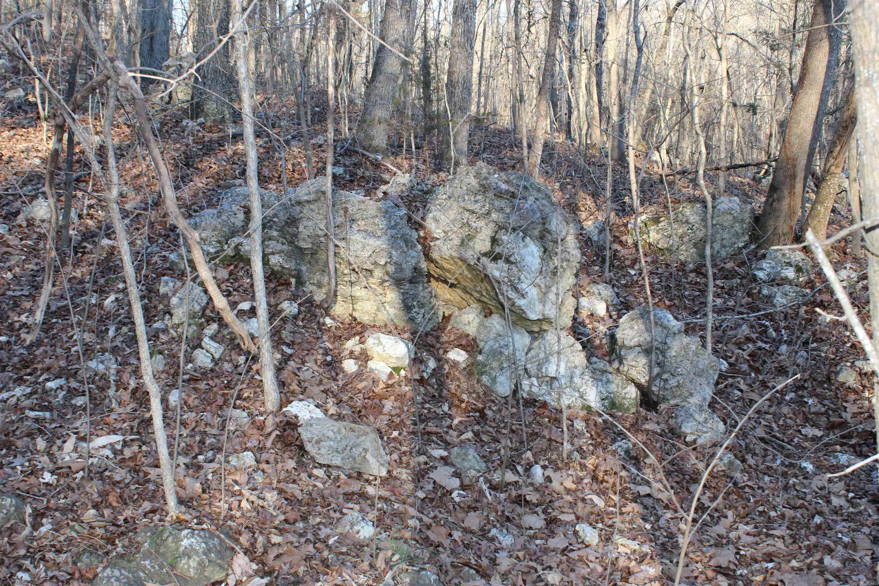 Photo 9 - Vacant Land for sale –   Hwy 289 South   Horseshoe Bend, AR