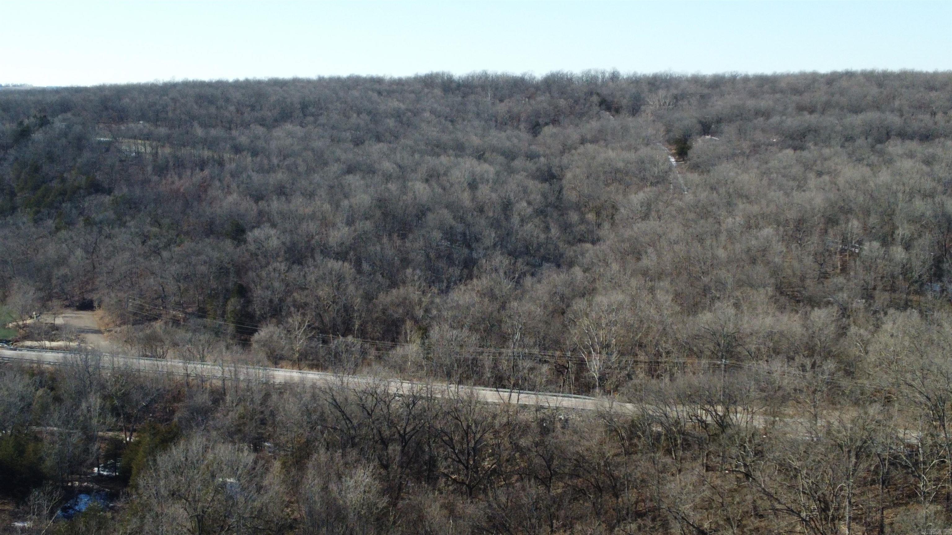Photo 10 - Vacant Land for sale –   Hwy 289 South   Horseshoe Bend, AR