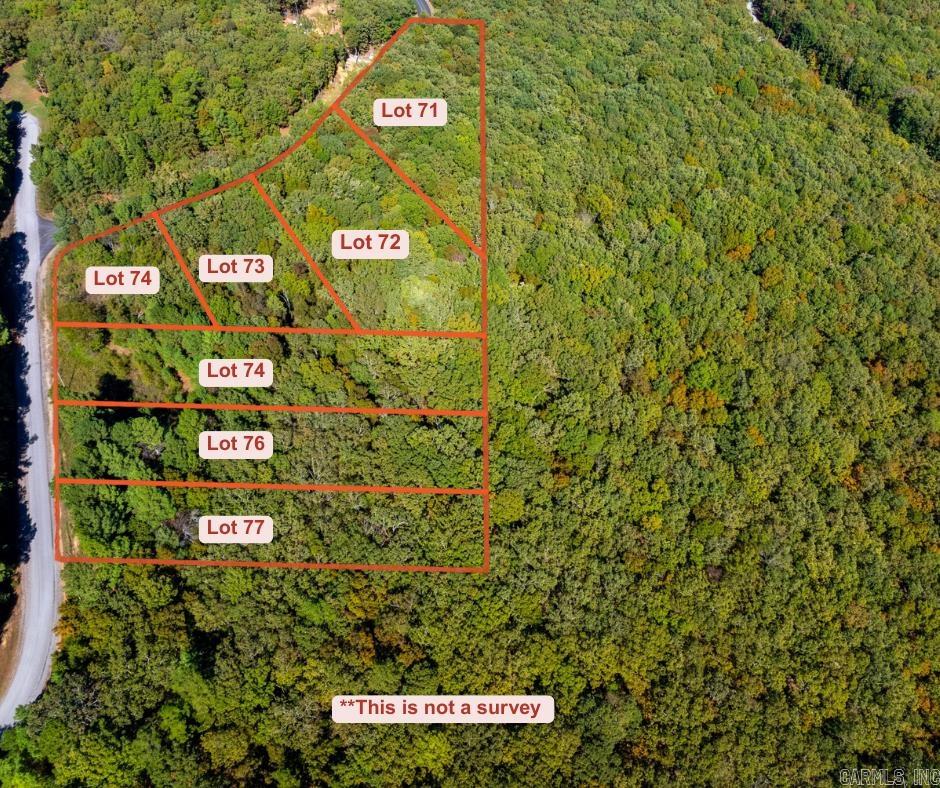 Photo 2 - Vacant Land for sale – TBD  Castle   Batesville, AR