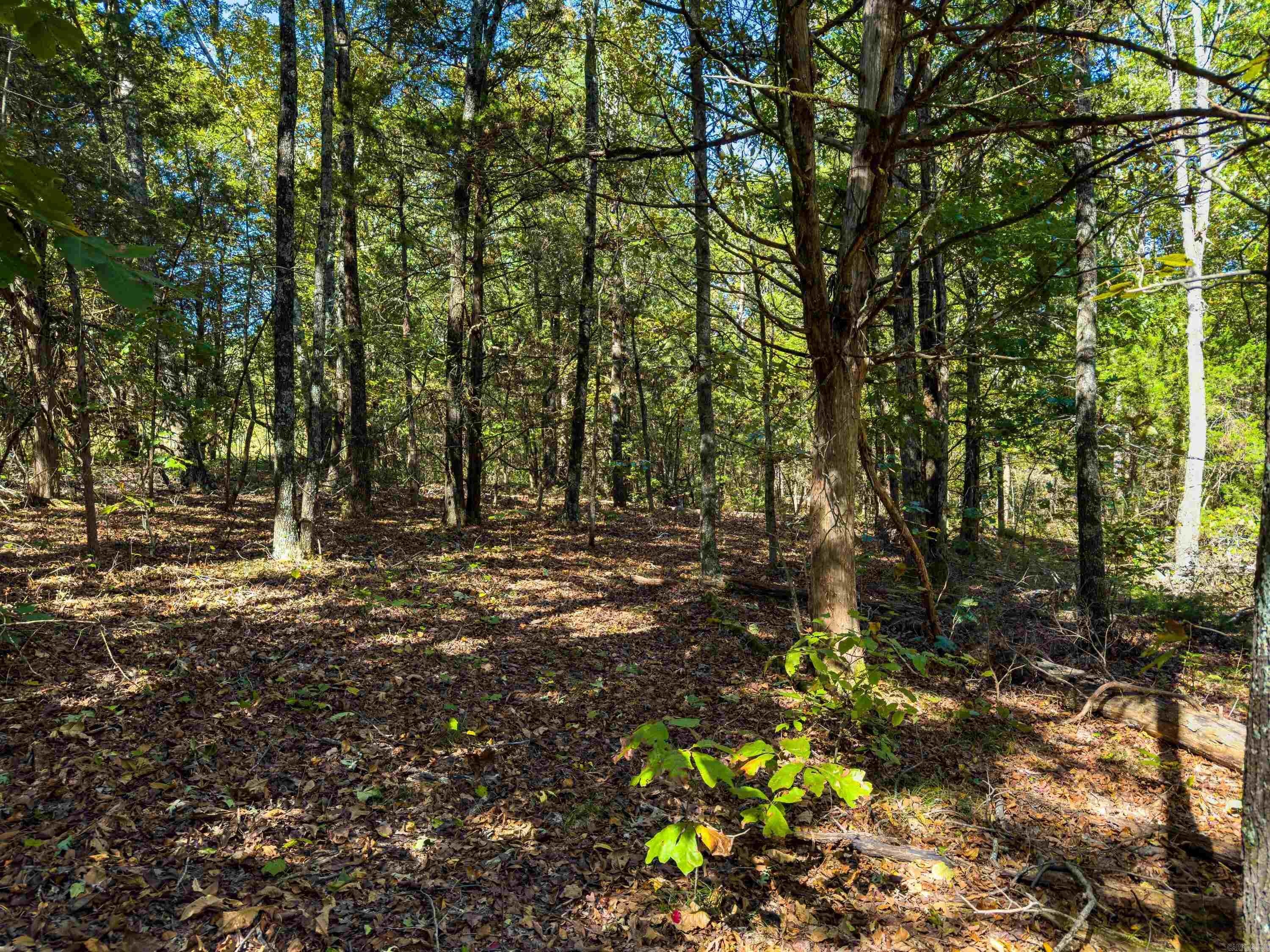 Photo 11 - Vacant Land for sale – TBD  Castle   Batesville, AR