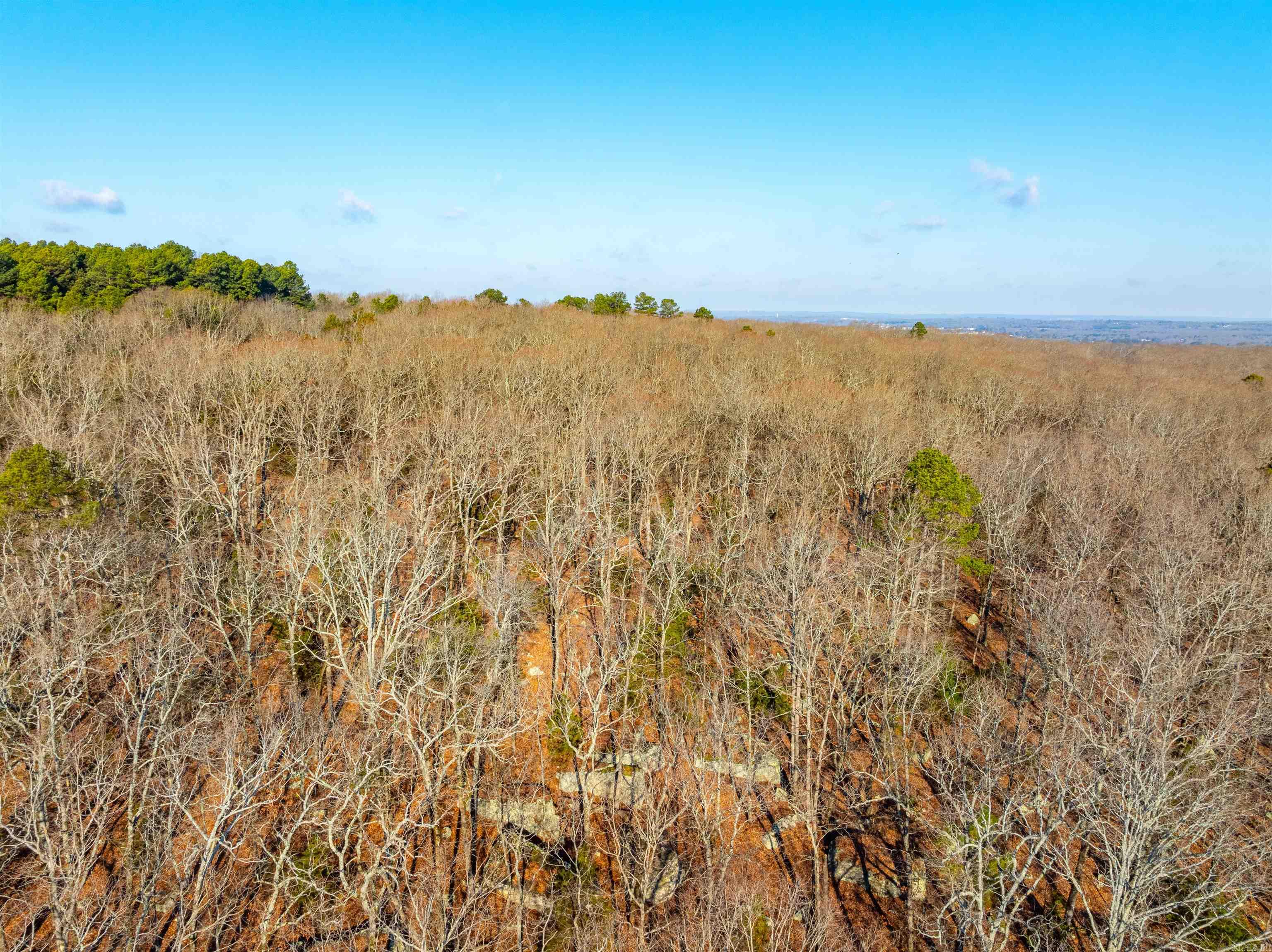 Photo 13 - Vacant Land for sale – TBD  Castle   Batesville, AR