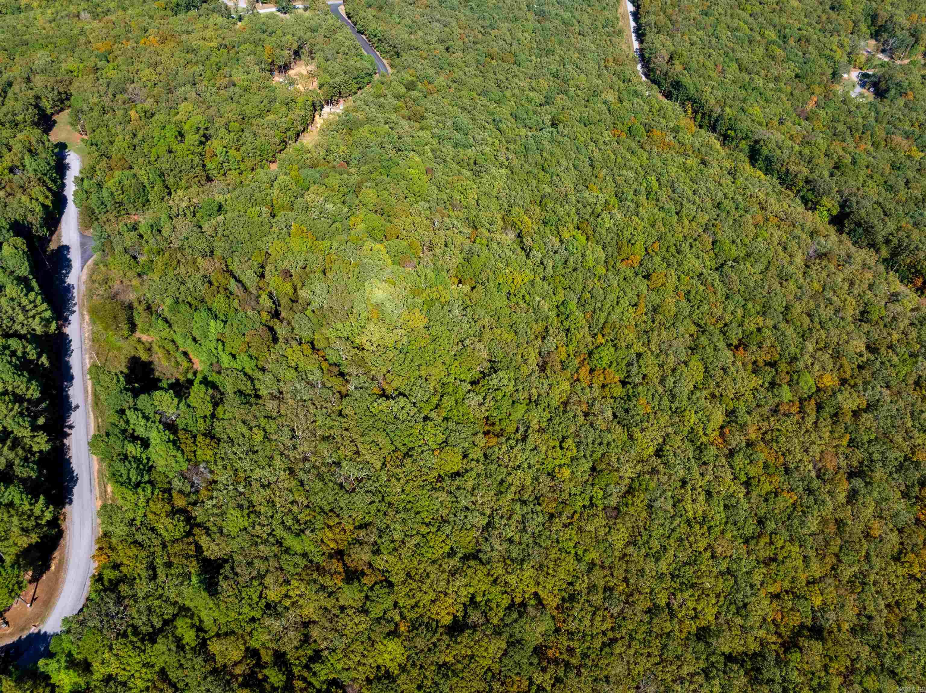 Photo 14 - Vacant Land for sale – TBD  Castle   Batesville, AR