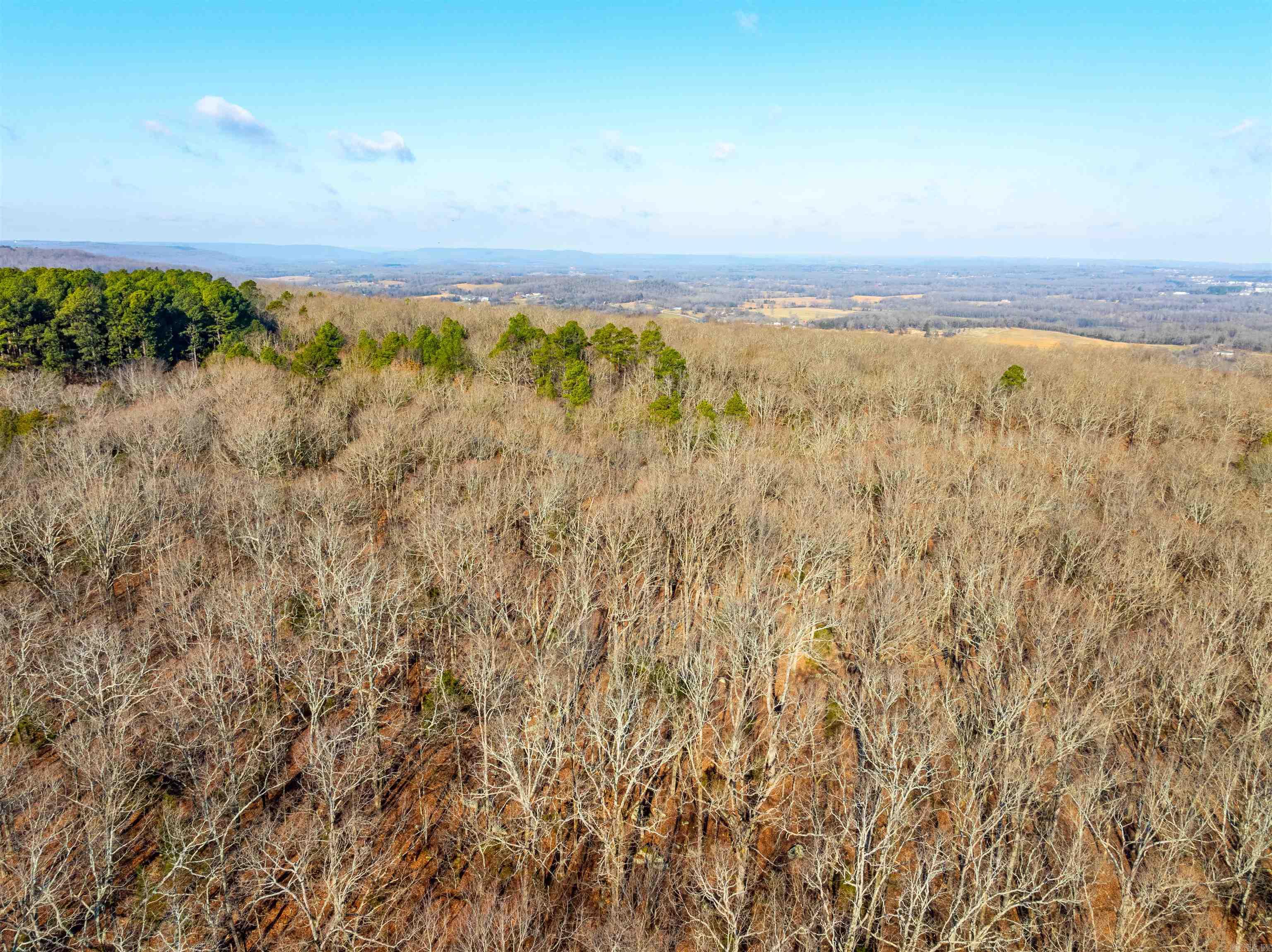 Photo 15 - Vacant Land for sale – TBD  Castle   Batesville, AR